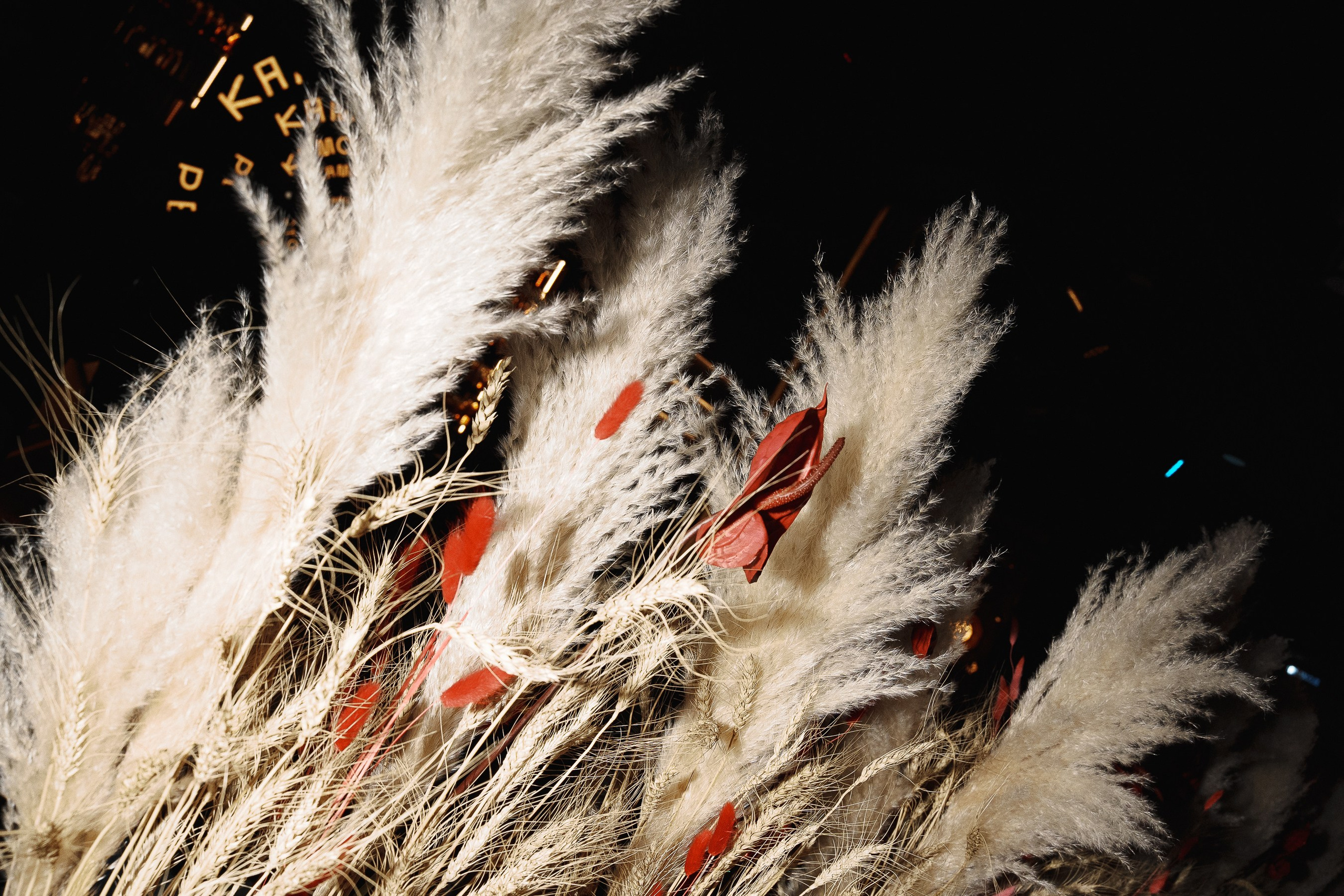 Камон в Кардамон?. Фотограф Артём Рауэр