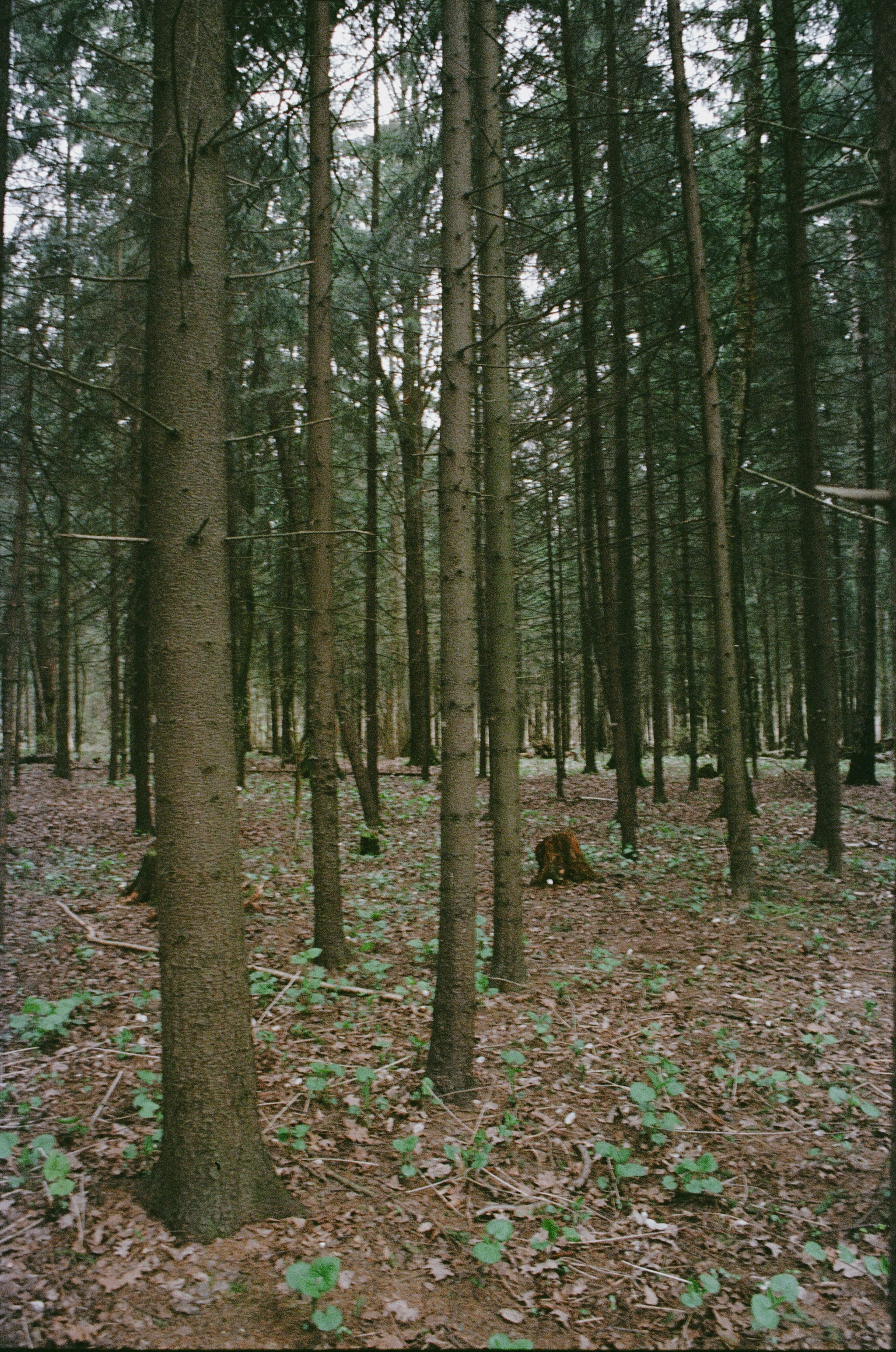 Галерея