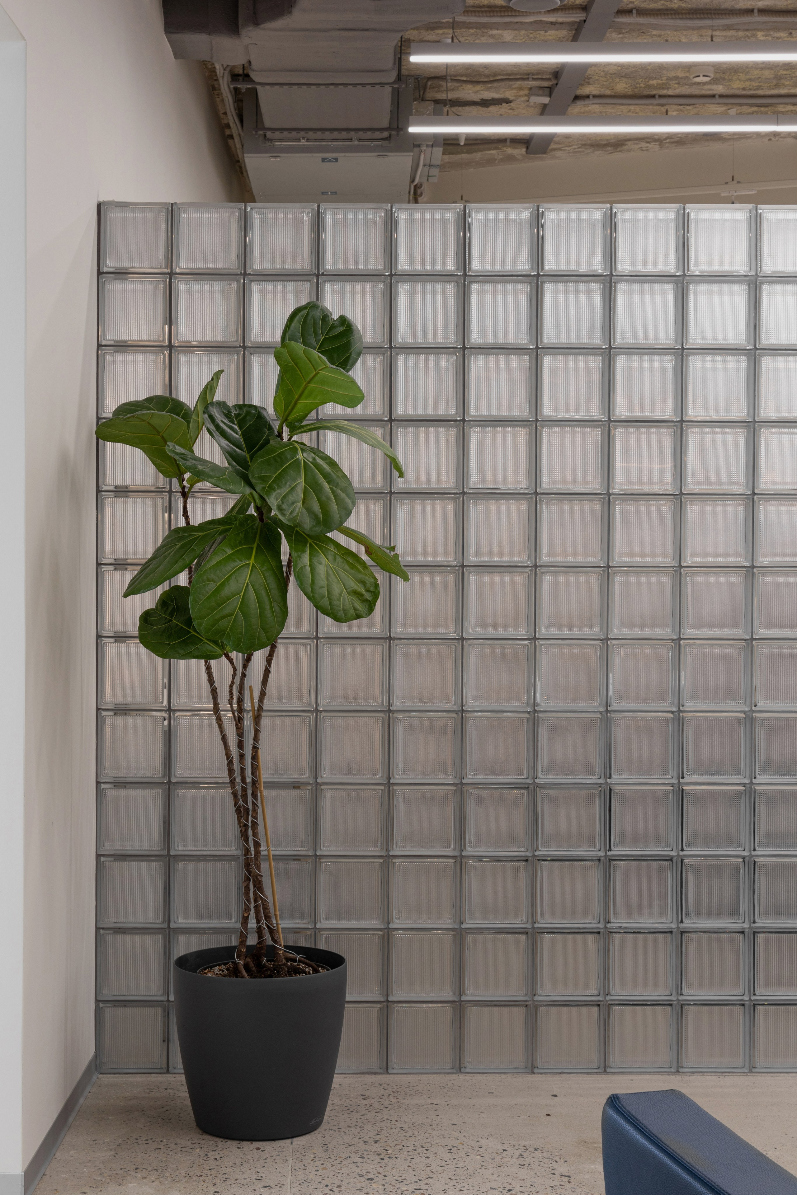 Парикмахерская Культура в Москве. Интерьерный фотограф в Нижнем Новгороде и Москве Владимир Гудков