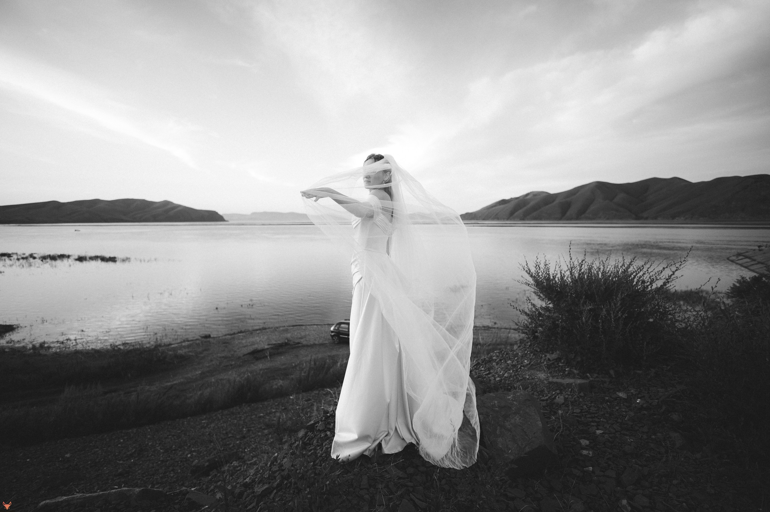 Wedding 02 08 24. Свадебный Фотограф Абакан