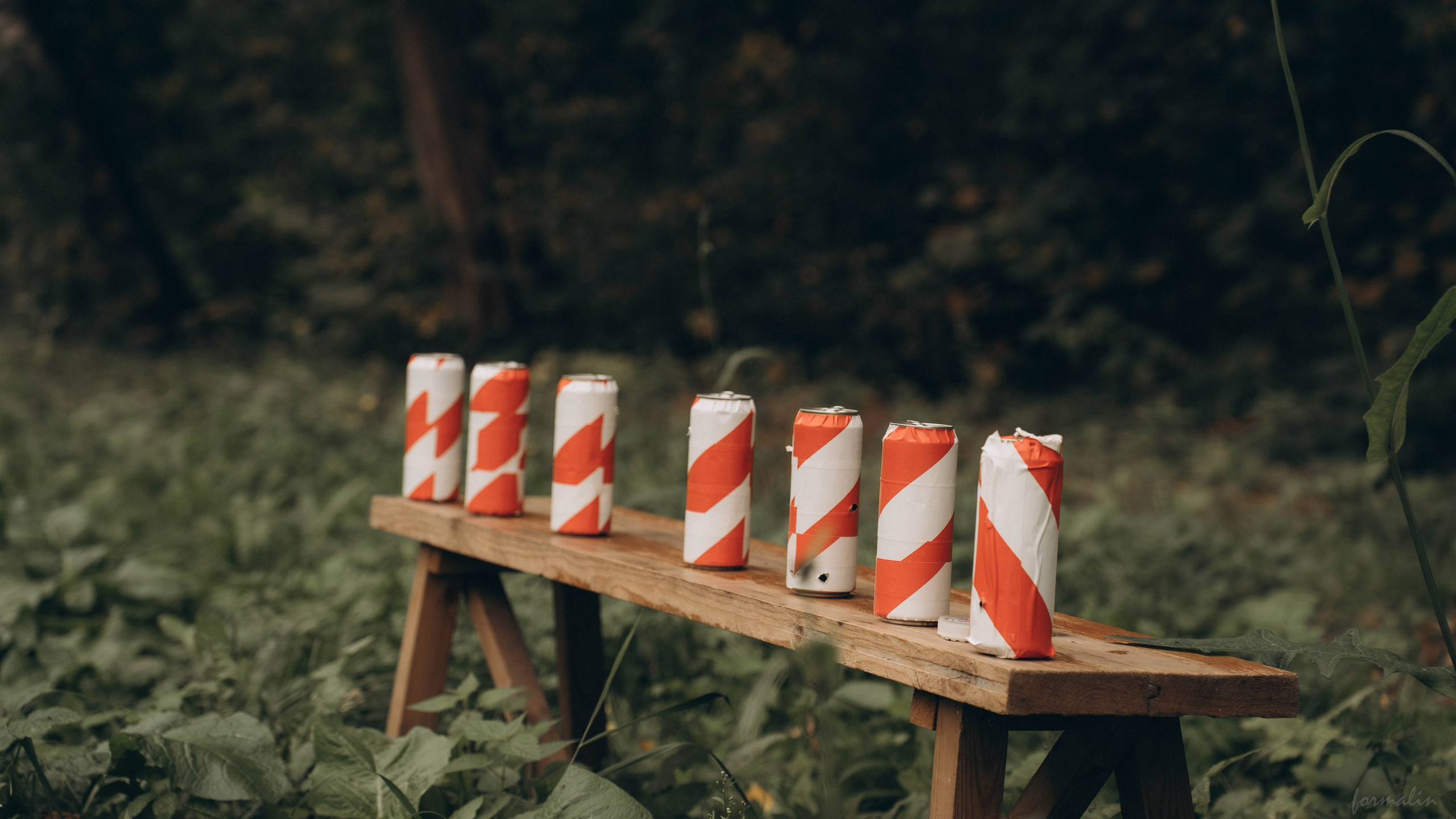 Фестиваль поисковых отрядов РТ 2025. Алиса Никитцова | Фотограф в Казани