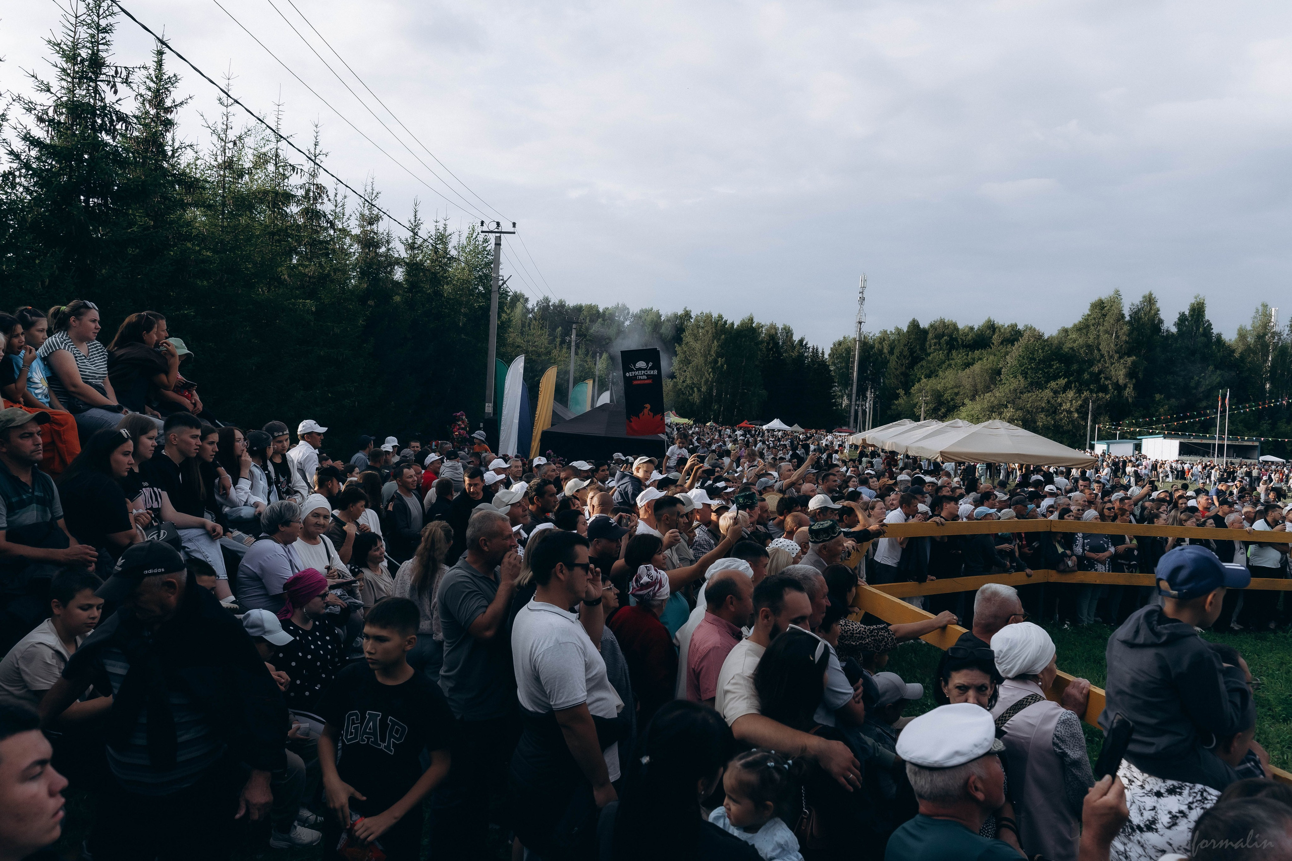 День Коня. Алиса Никитцова | Фотограф в Казани