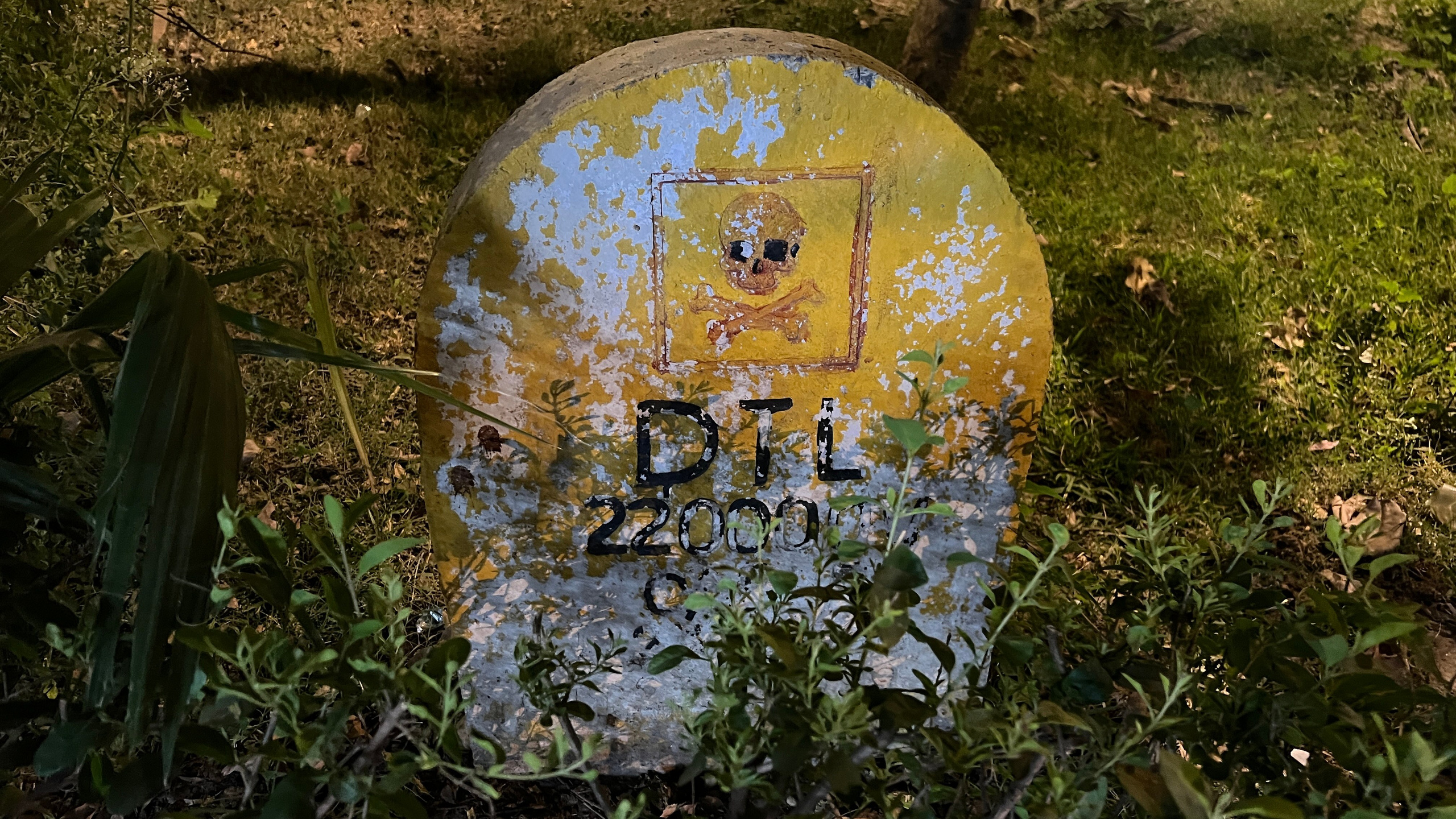 Индия. Телеоператор Ильнур Таминдаров — видеосъемка, документальные фильмы, интервью в Москве