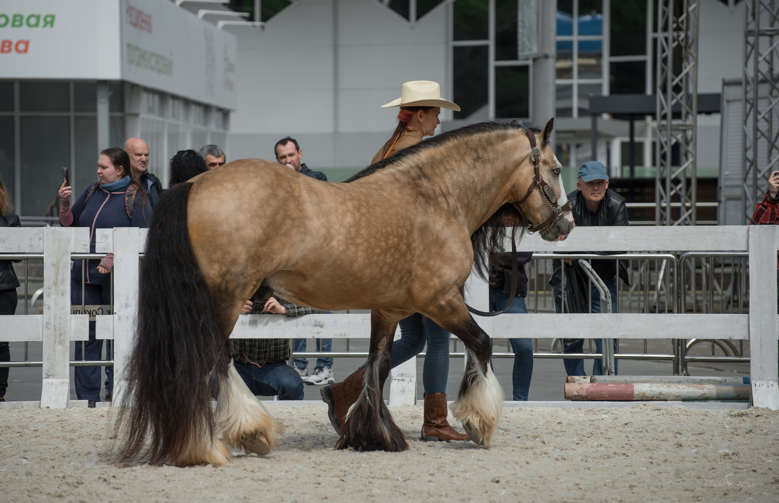 Эквирос, Москва. Конный фотограф в Саратове Юлия Иванова