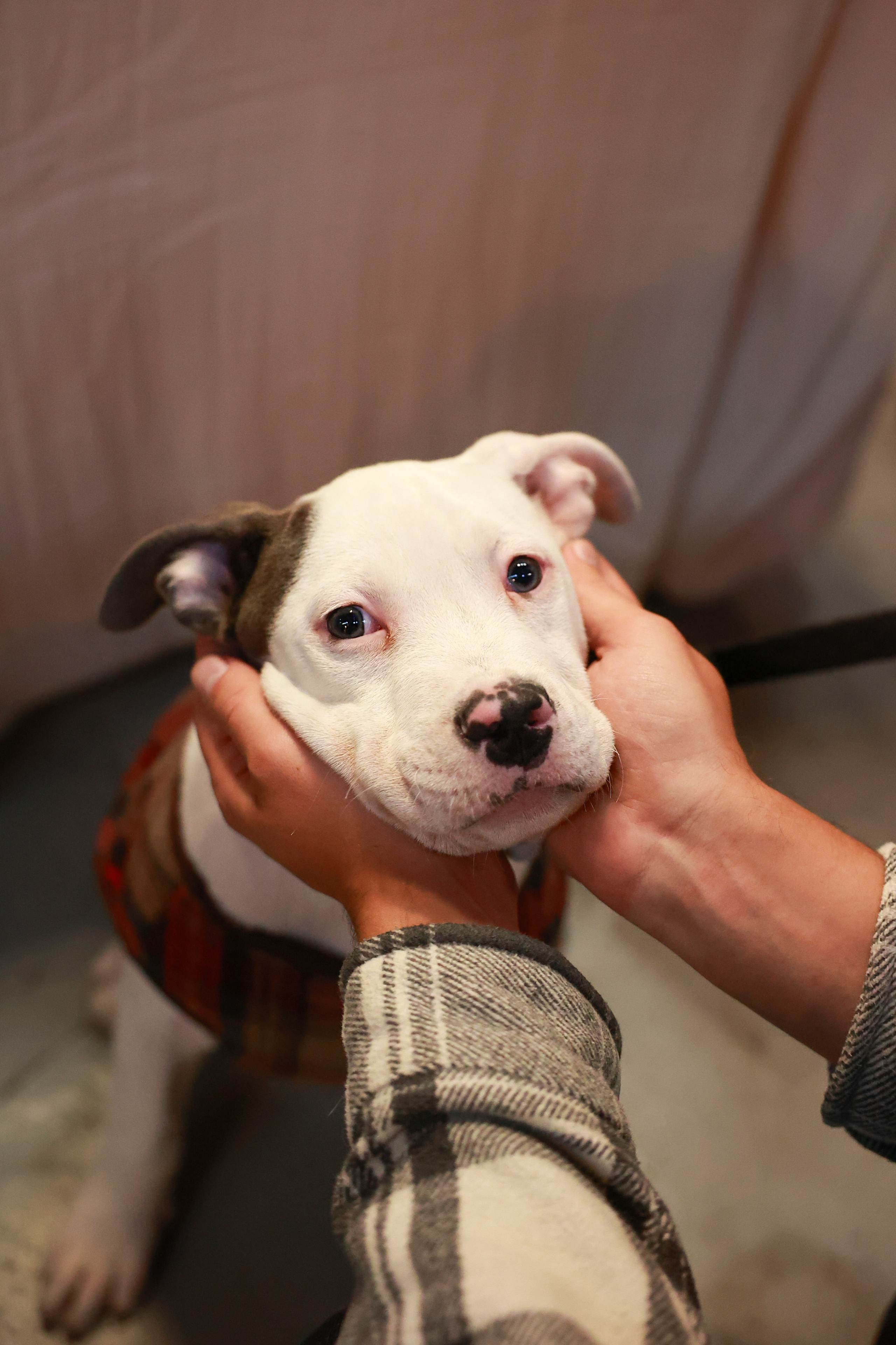 8–9 ноября 2025 в Музее Москвы / фото Саша Жукова. Фотоотчеты «Ламбада-маркета»