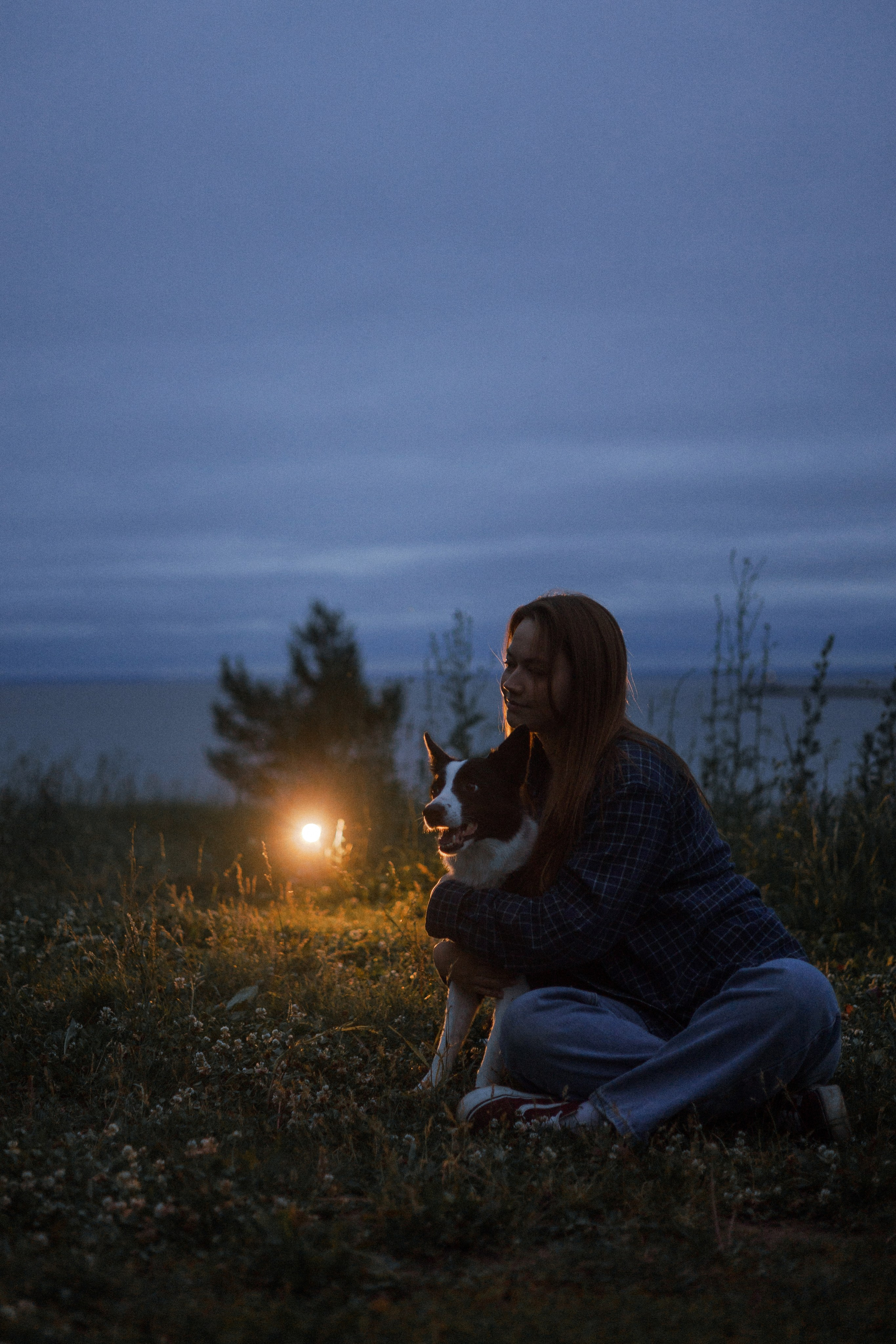 Аделя, Вандер, Шайна и Бая. Фотограф-анималист Богданова Полина