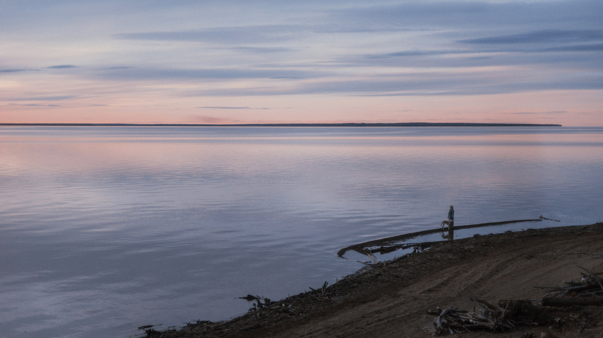 Настя и Бейда. Фотограф-анималист Богданова Полина