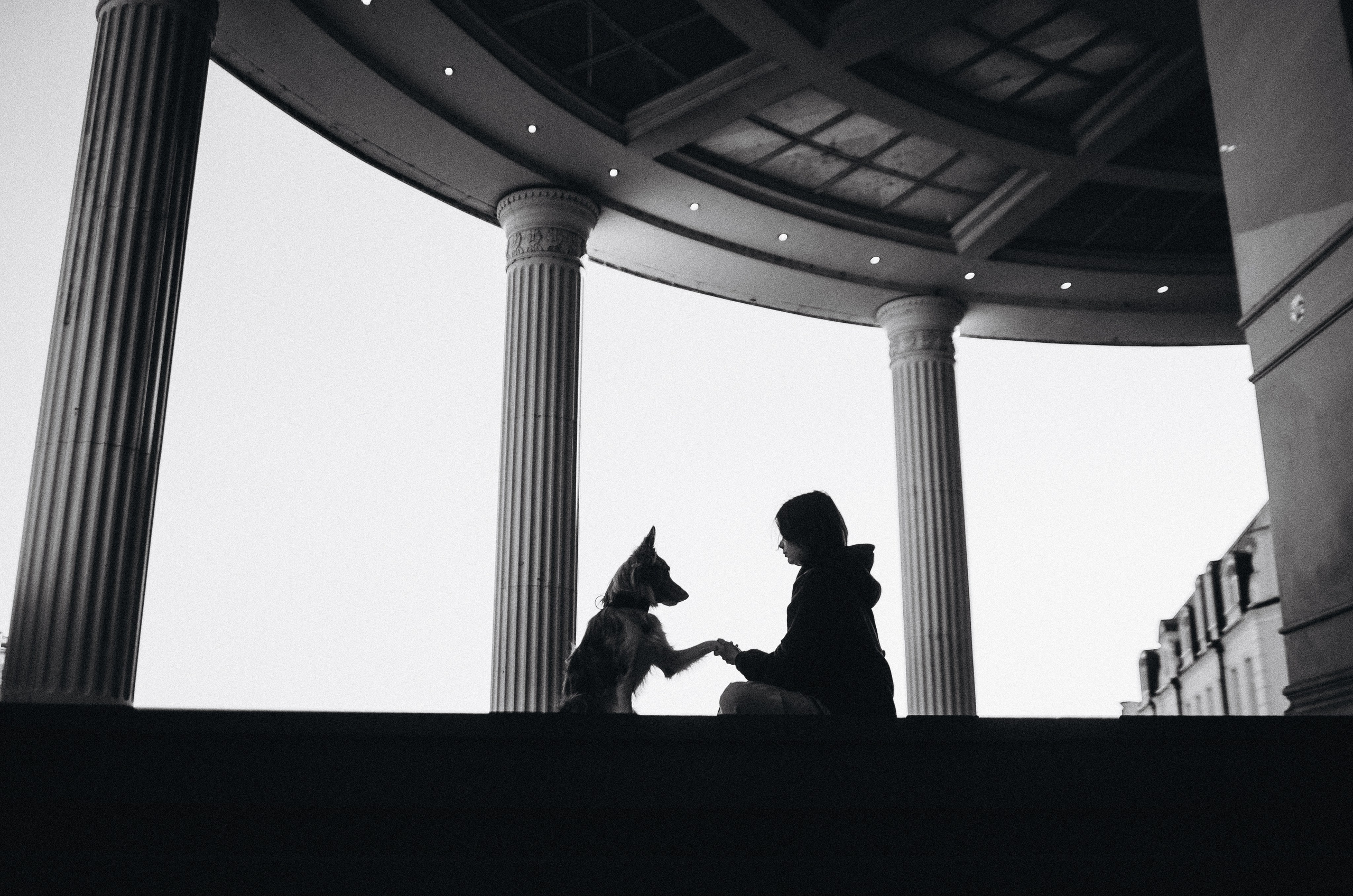 Аня и Дэймон. Фотограф-анималист Богданова Полина