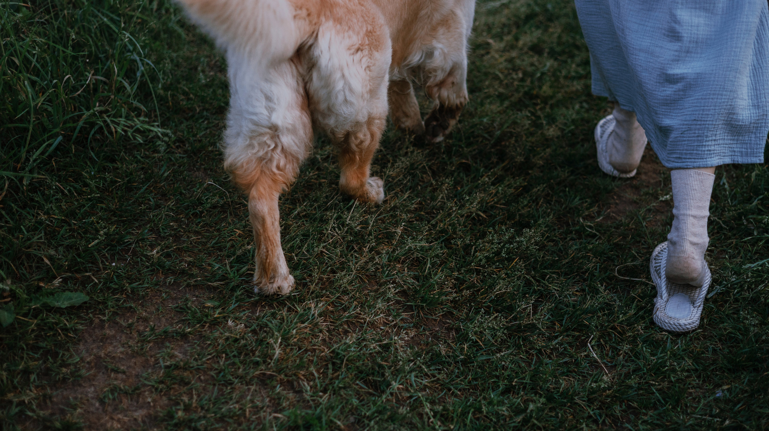 Марина и Чили. Фотограф-анималист Богданова Полина