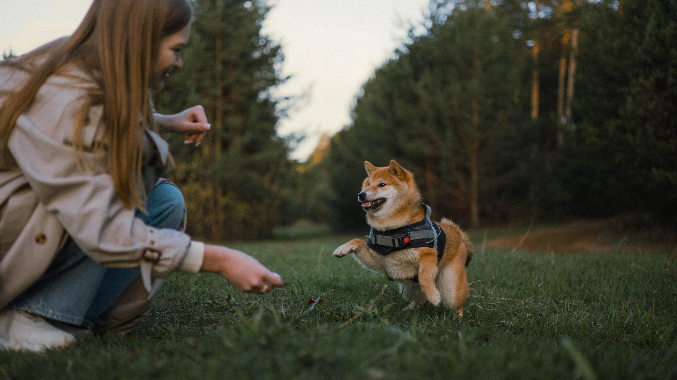 Аня и Шани. Фотограф-анималист Богданова Полина