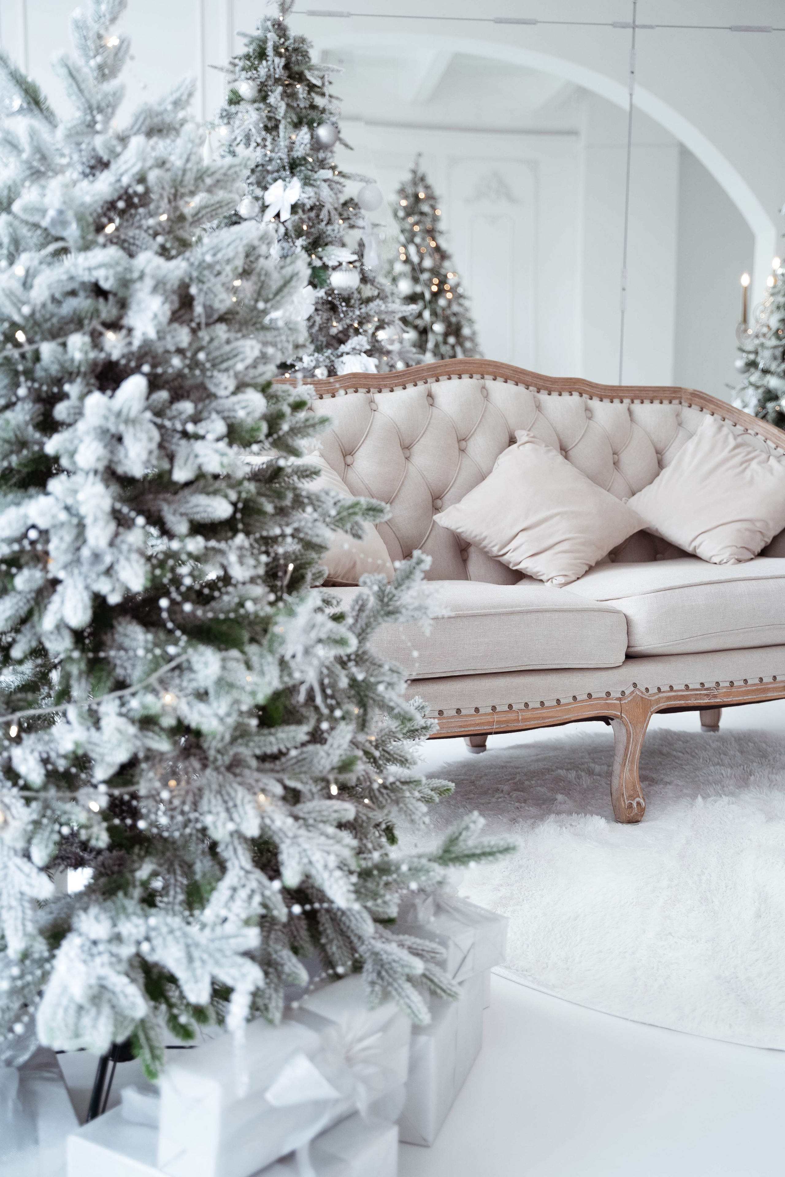 Зал Ренессанс. Фотограф г. Хабаровск. Семейные и индивидуальные съёмки