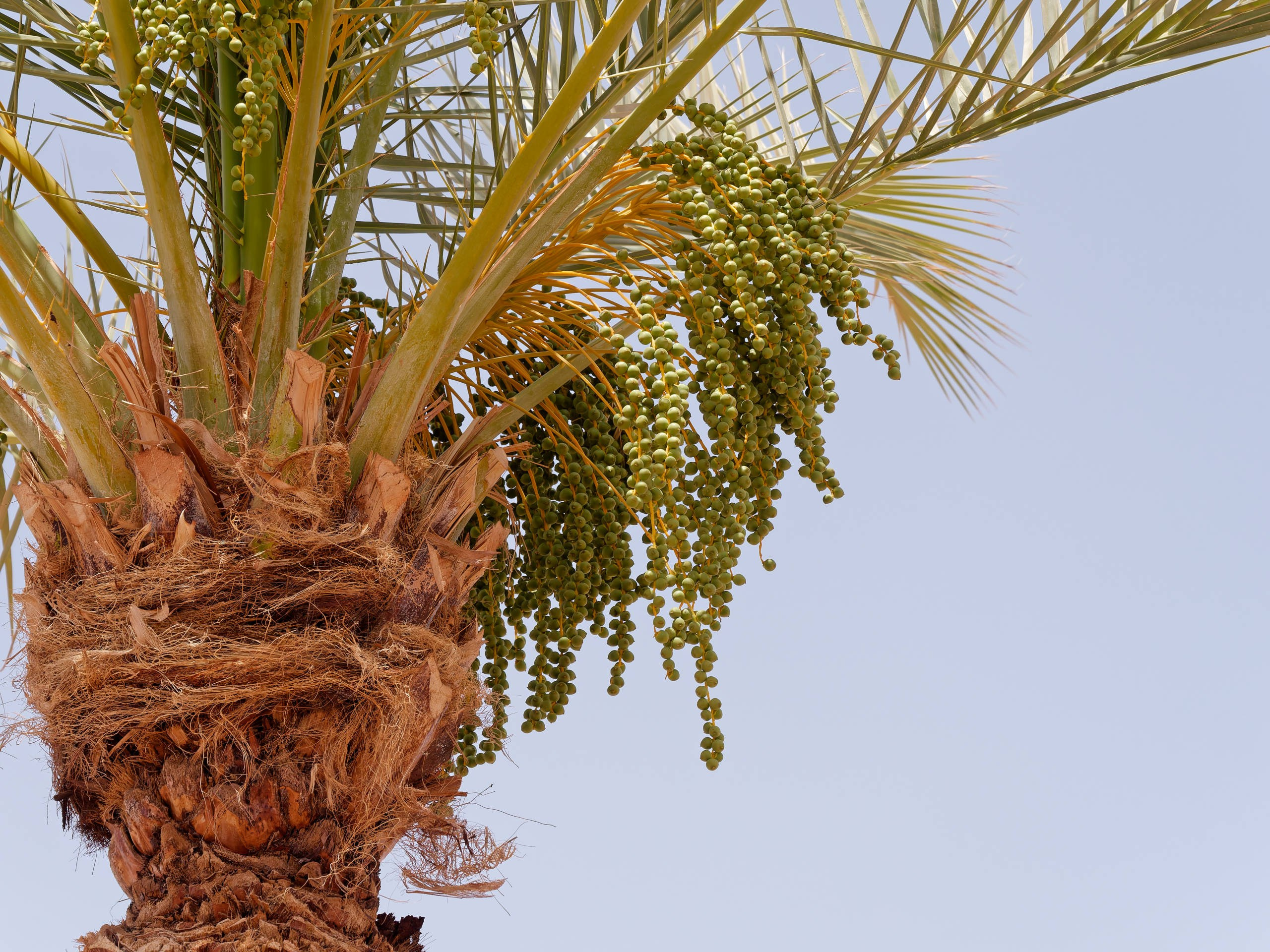 Шарм-эль-Шейх 2022 (2). Избранные фотографии