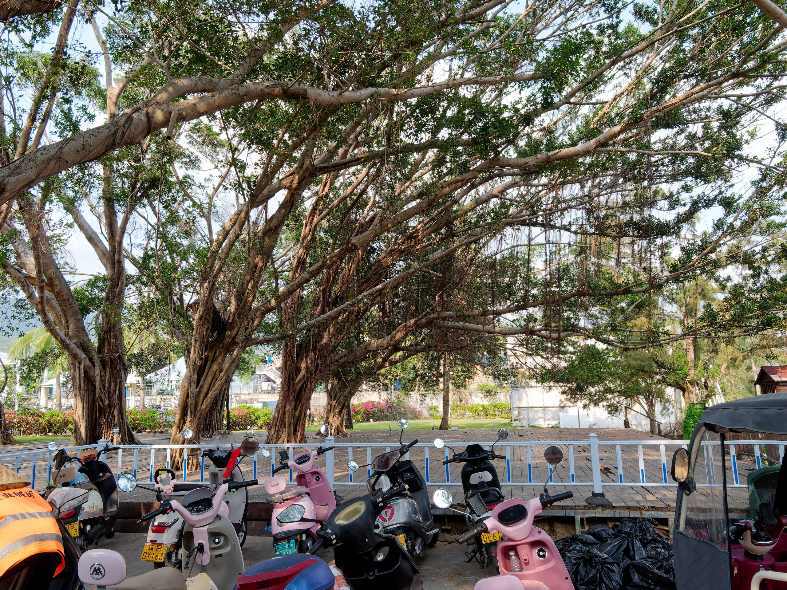 Хайнань 2026, море и пляж. Фотопрогулки по Миру