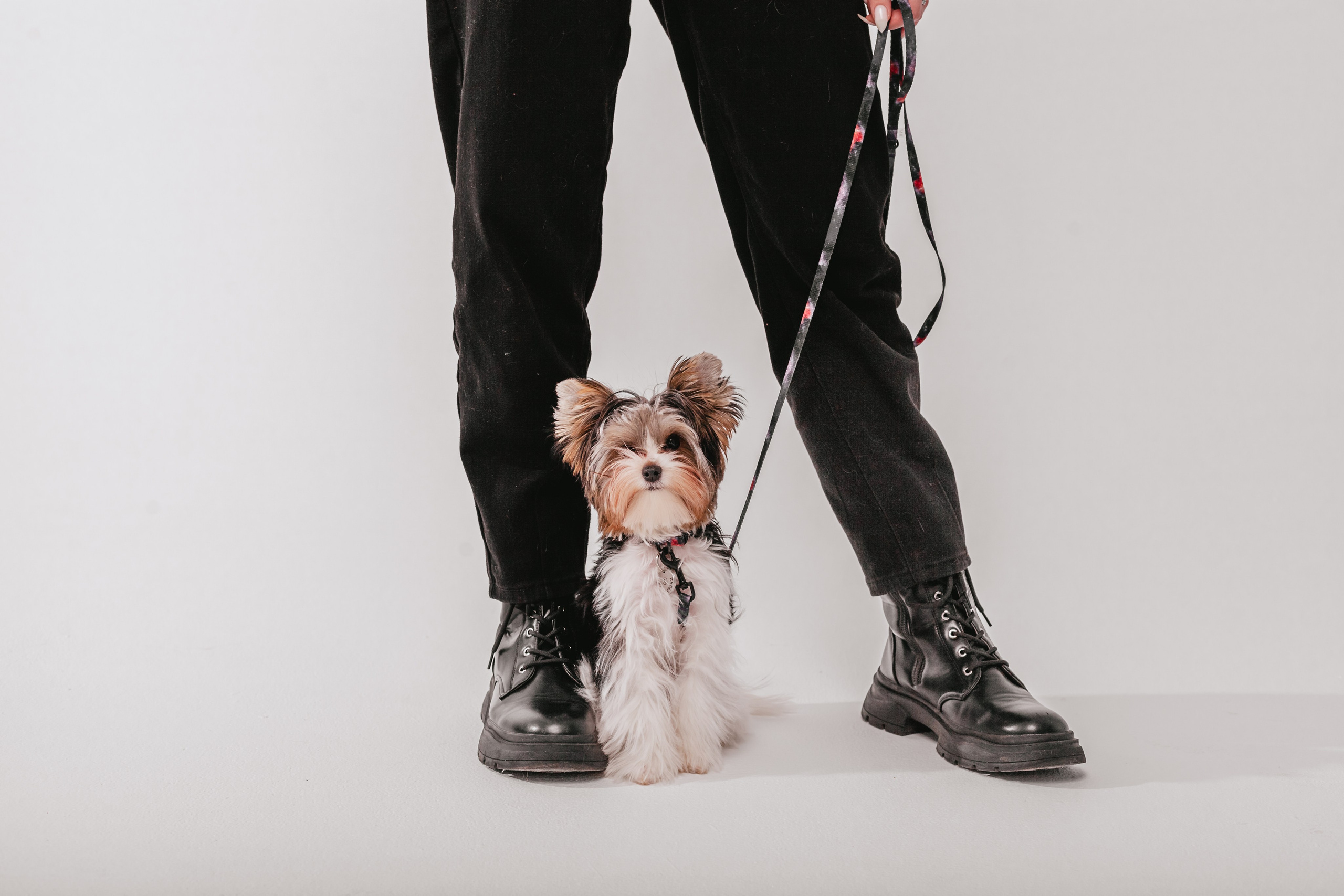 Студия близняшки. Фотограф-анималист Татьяна Степанова