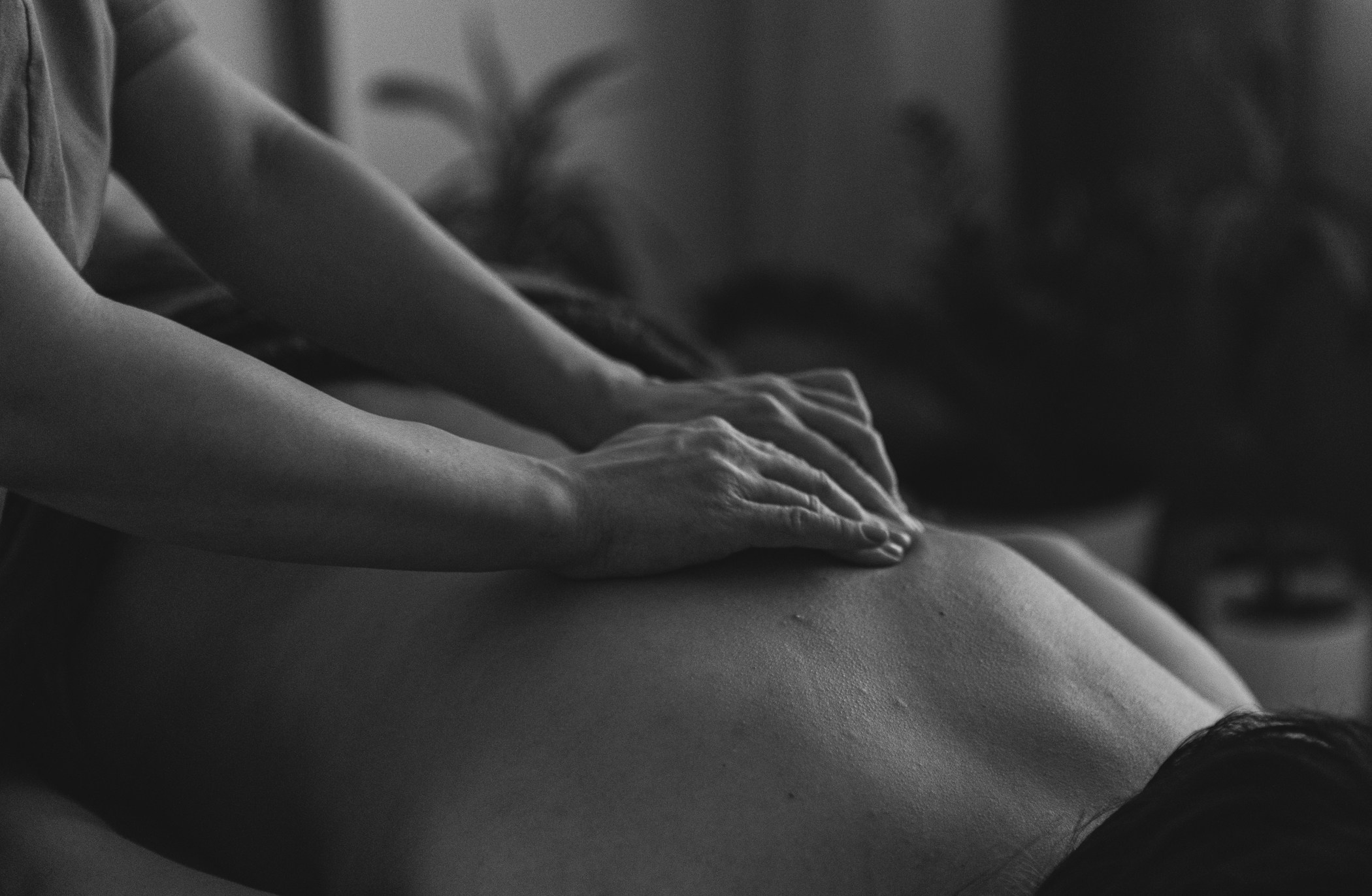 Контент-съёмка. Фотограф-анималист Полина Колкова | Москва