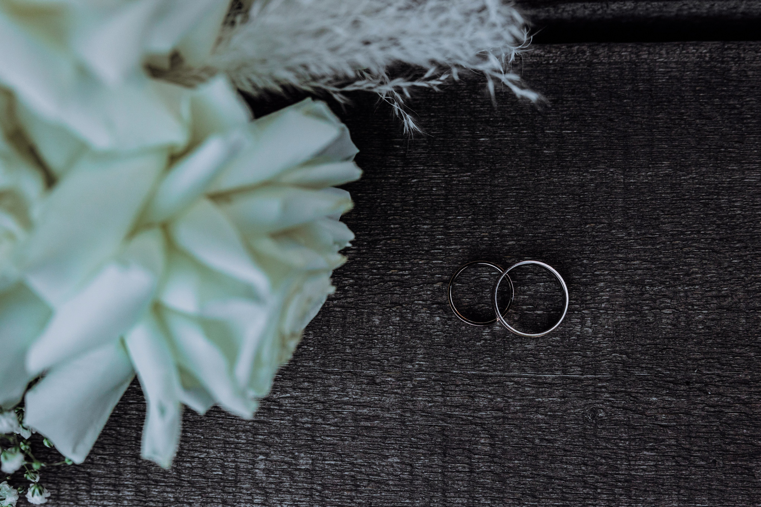 ANNA_IVAN (CONQUISTADOR). Фотограф Андрей Ширкалин Москва Московская обл, Коломна, Рязань