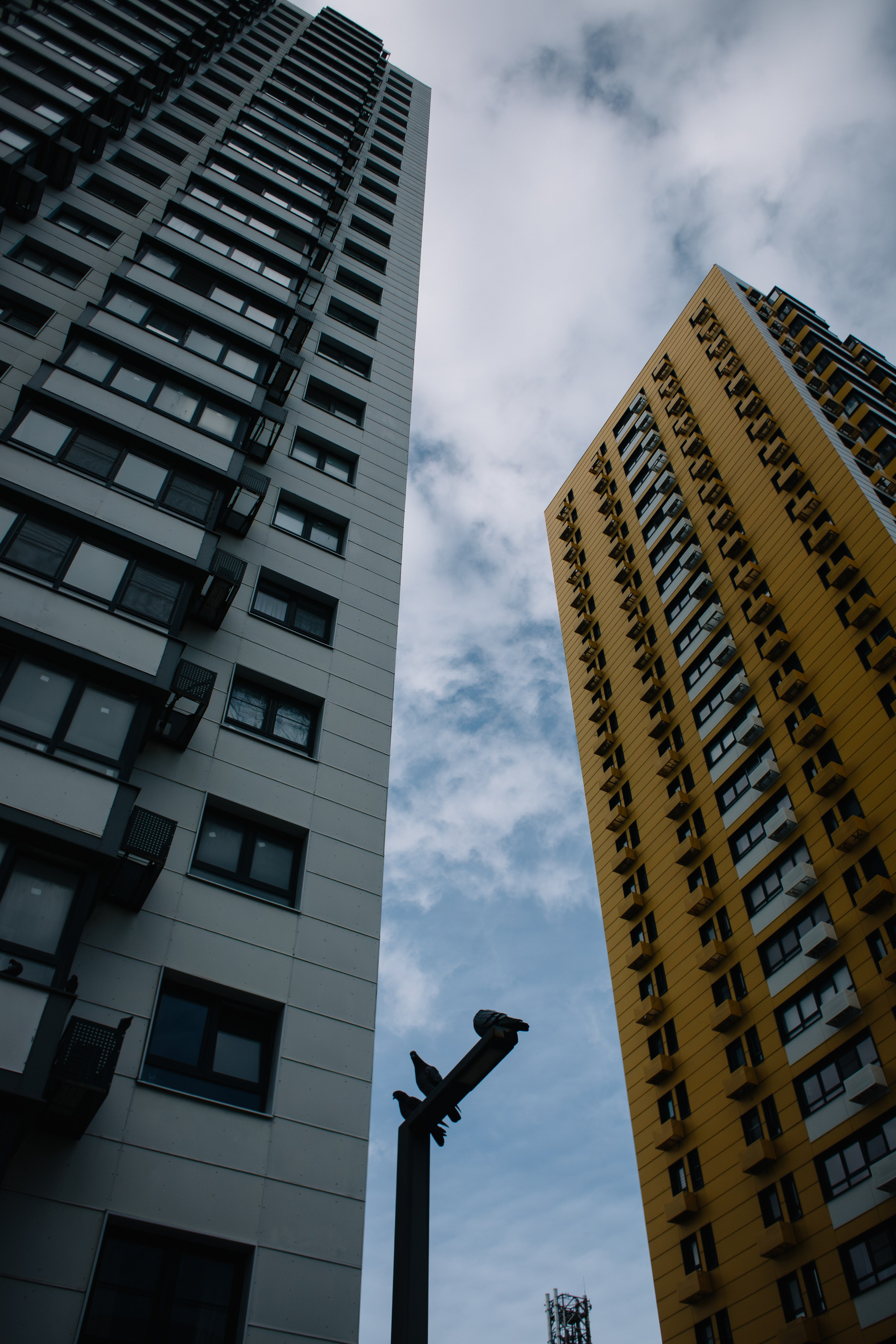 Untitled. Свадебный и Event фотограф в Москве | Андрей Губренко | Gubrenko