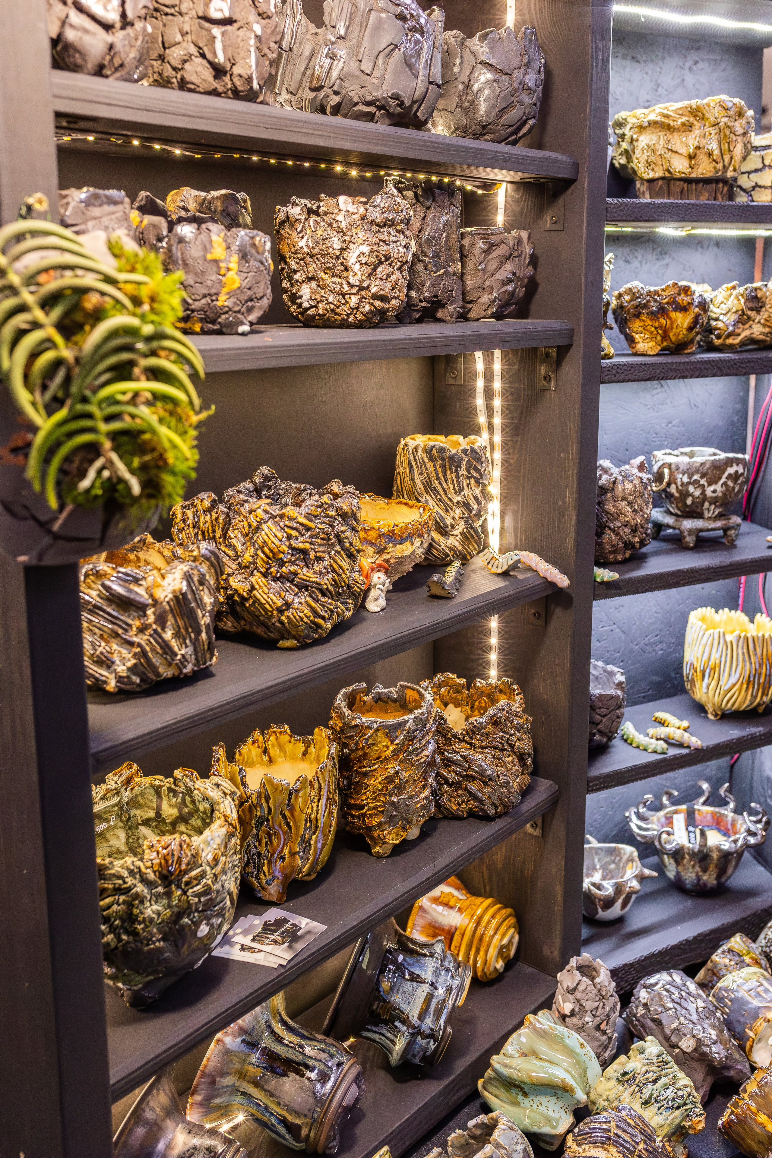 Монстериум апрель 2026. Александра Куликова фотограф, Москва