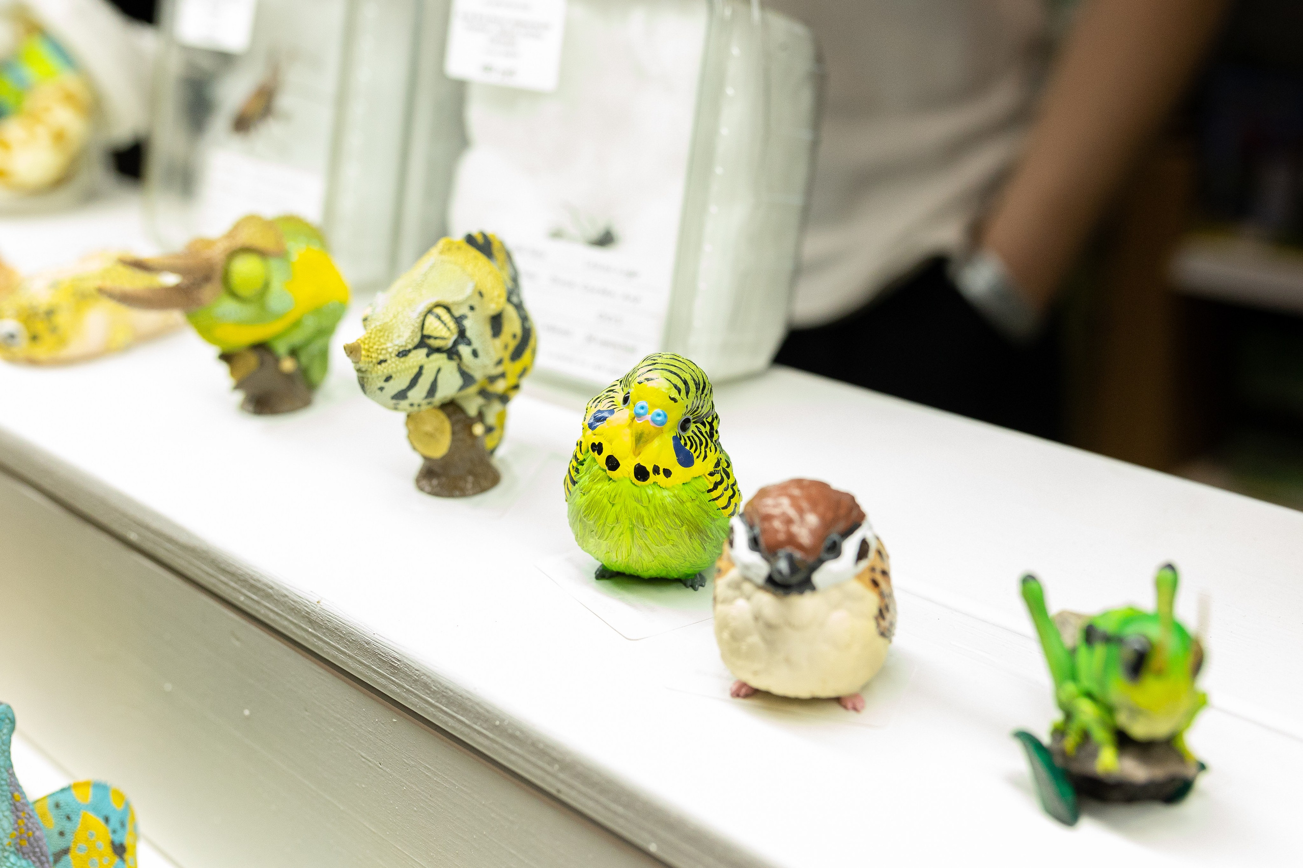 Рептилиум 2024. Александра Куликова фотограф, Москва