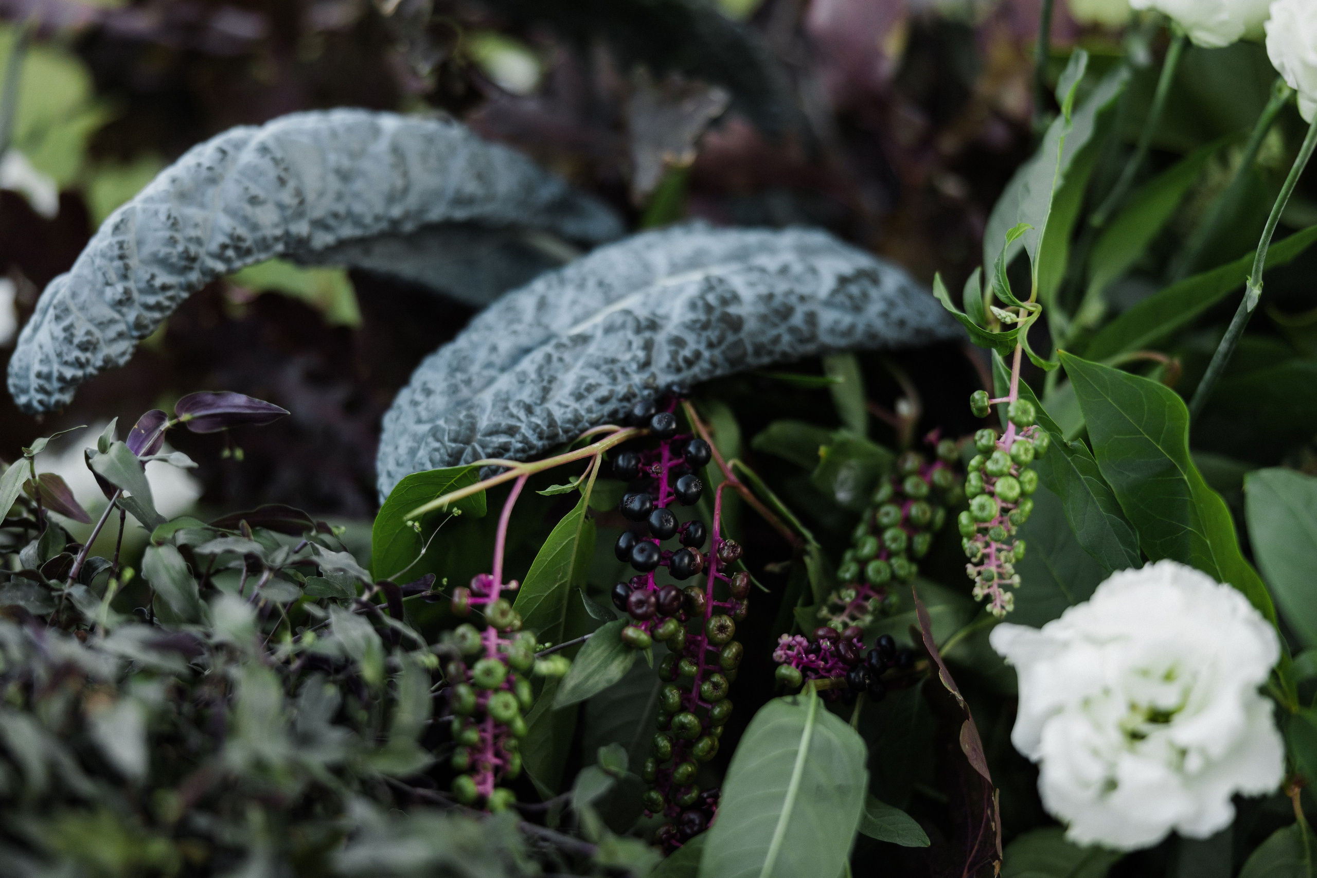 Павел и Дарья. Фотограф Айвазова Наталья Краснодар