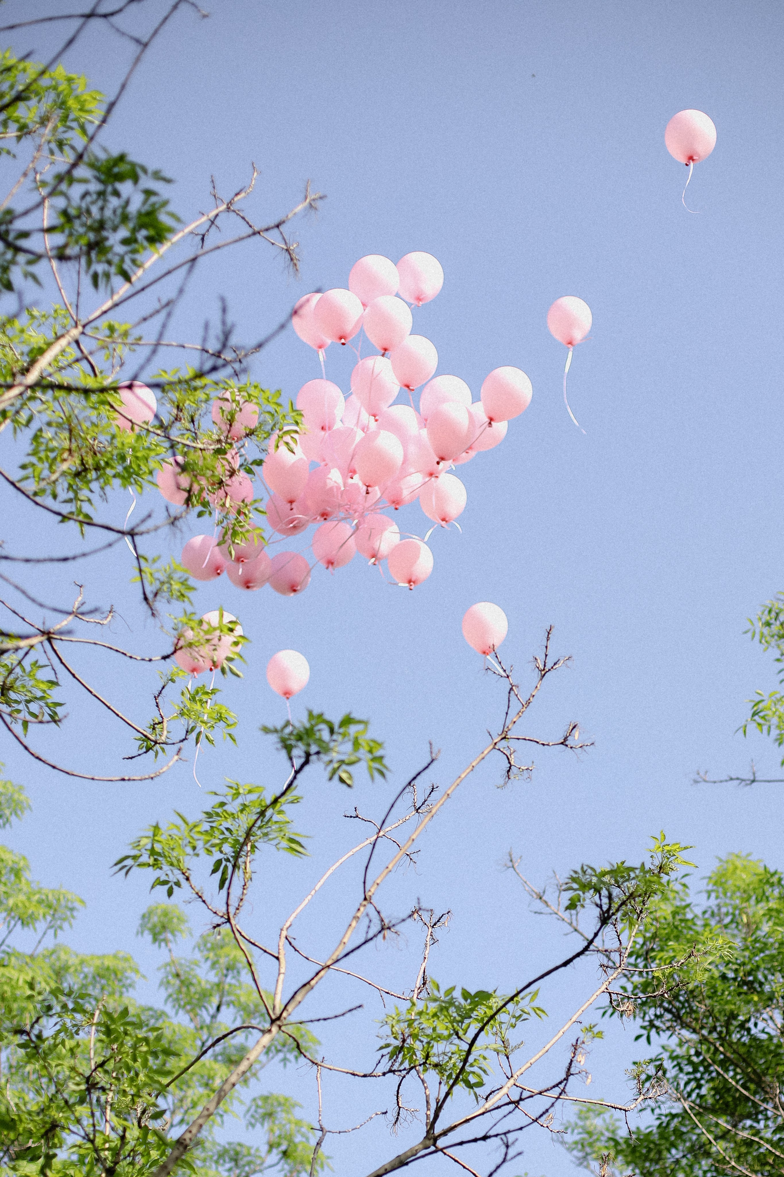 Гендер в парке. Фотограф в Алматы и Москве Даша Пушкина
