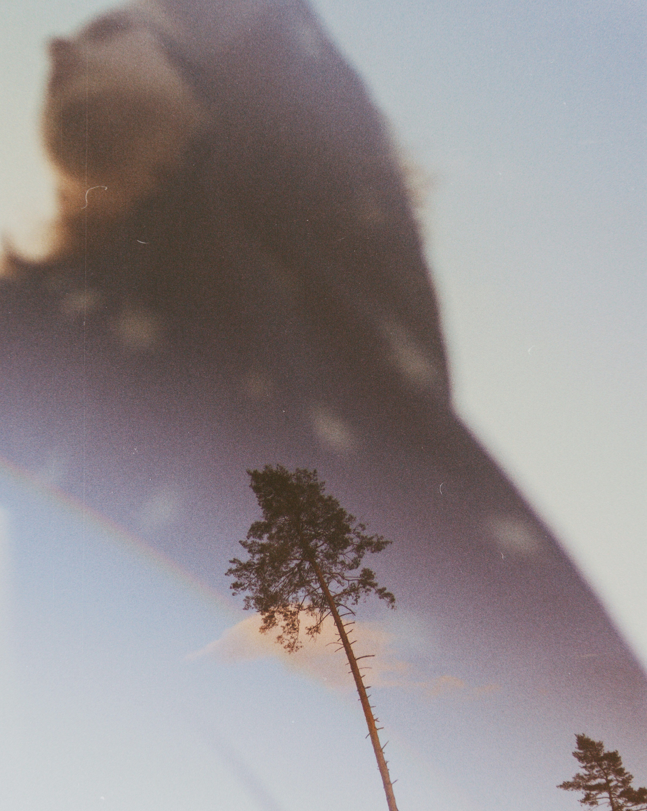 What is beauty | for the VOGUE competition. Egor Plakhotin Photography