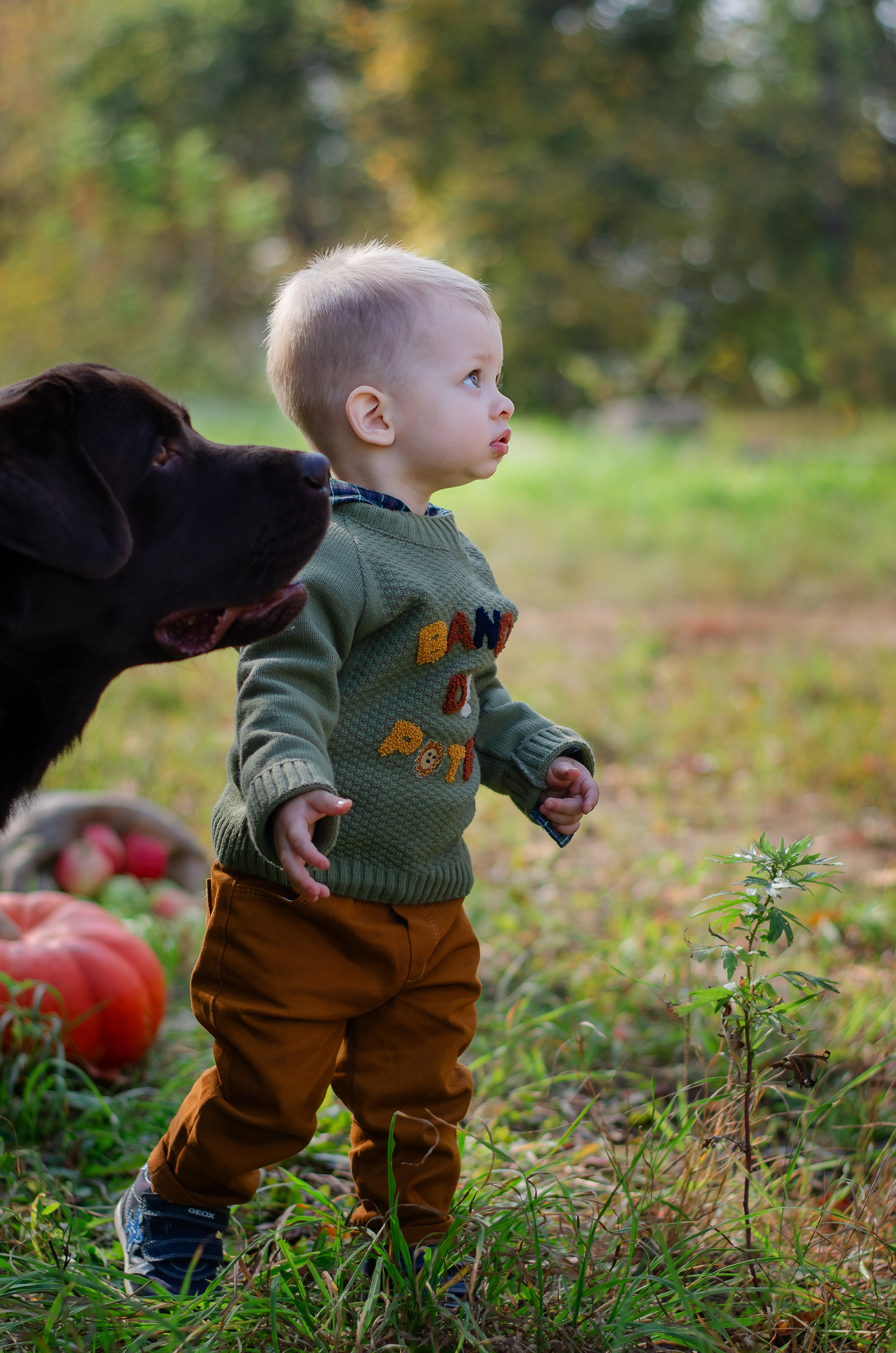 Детская фотосъемка. Детский и семейный фотограф в Москве Светлана Губина