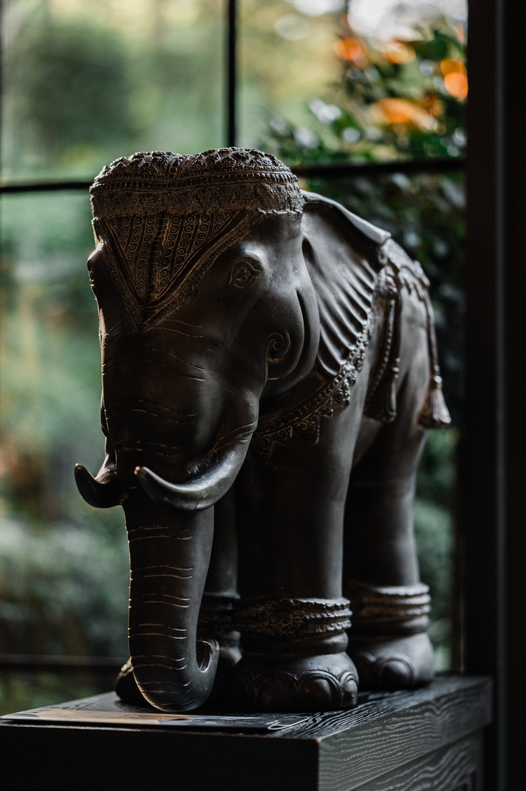 Репортажный фотограф на корпоратив и другие мероприятия. Свадебный и семейный фотограф в Краснодаре Марина Стёпа