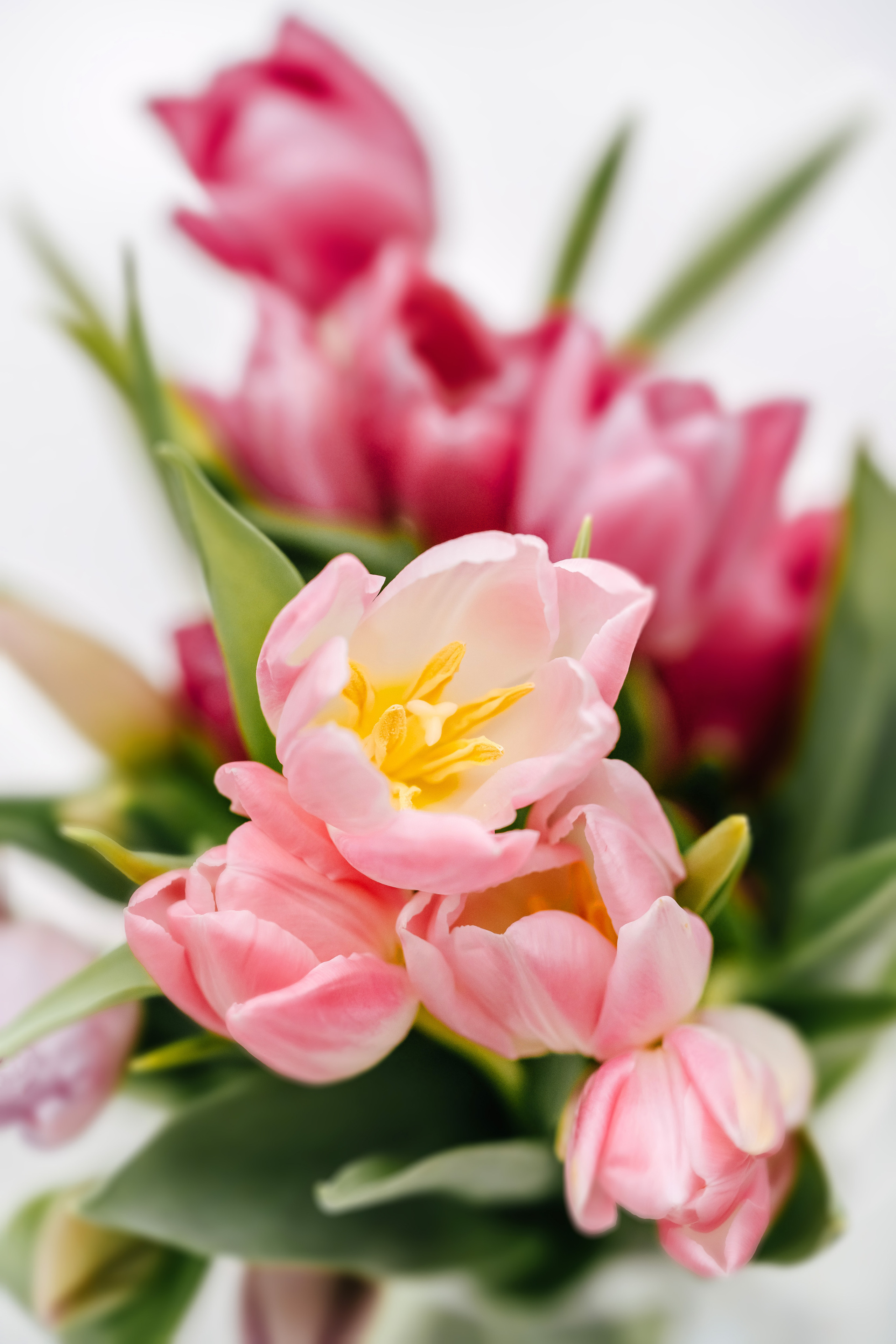 Проекты. Свадебный фотограф в Москве Вадим Вереницын