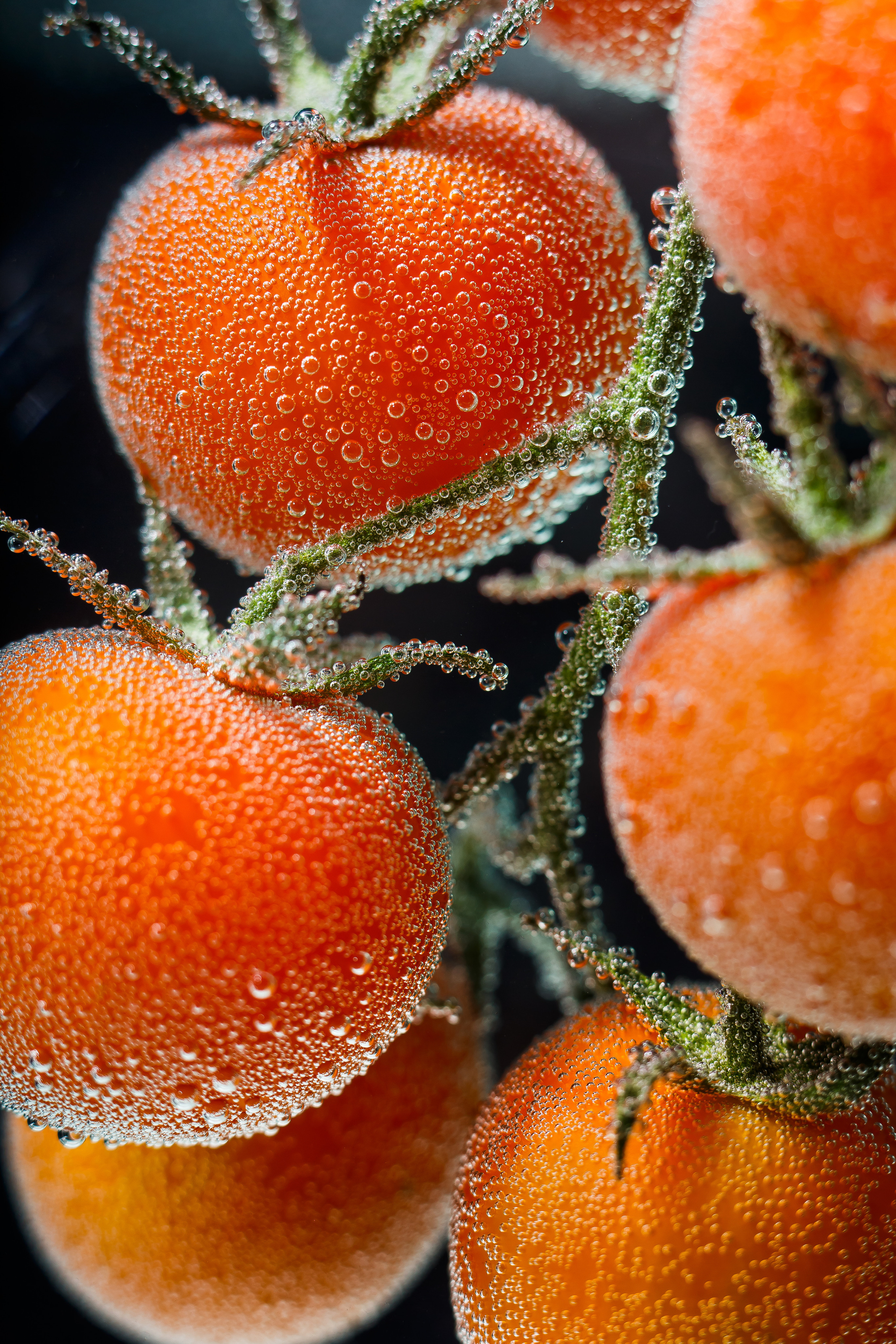 Проекты. Свадебный фотограф в Москве Вадим Вереницын