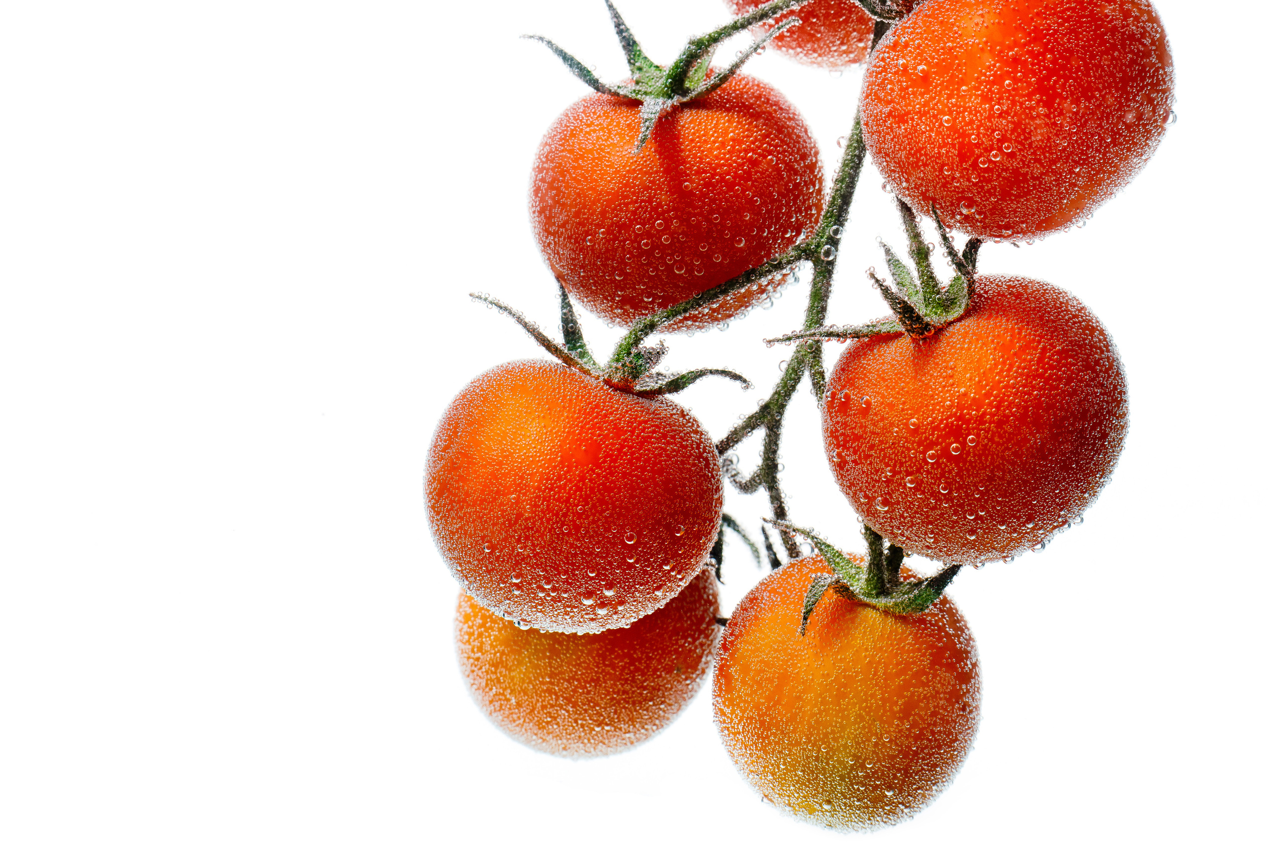 Проекты. Свадебный фотограф в Москве Вадим Вереницын