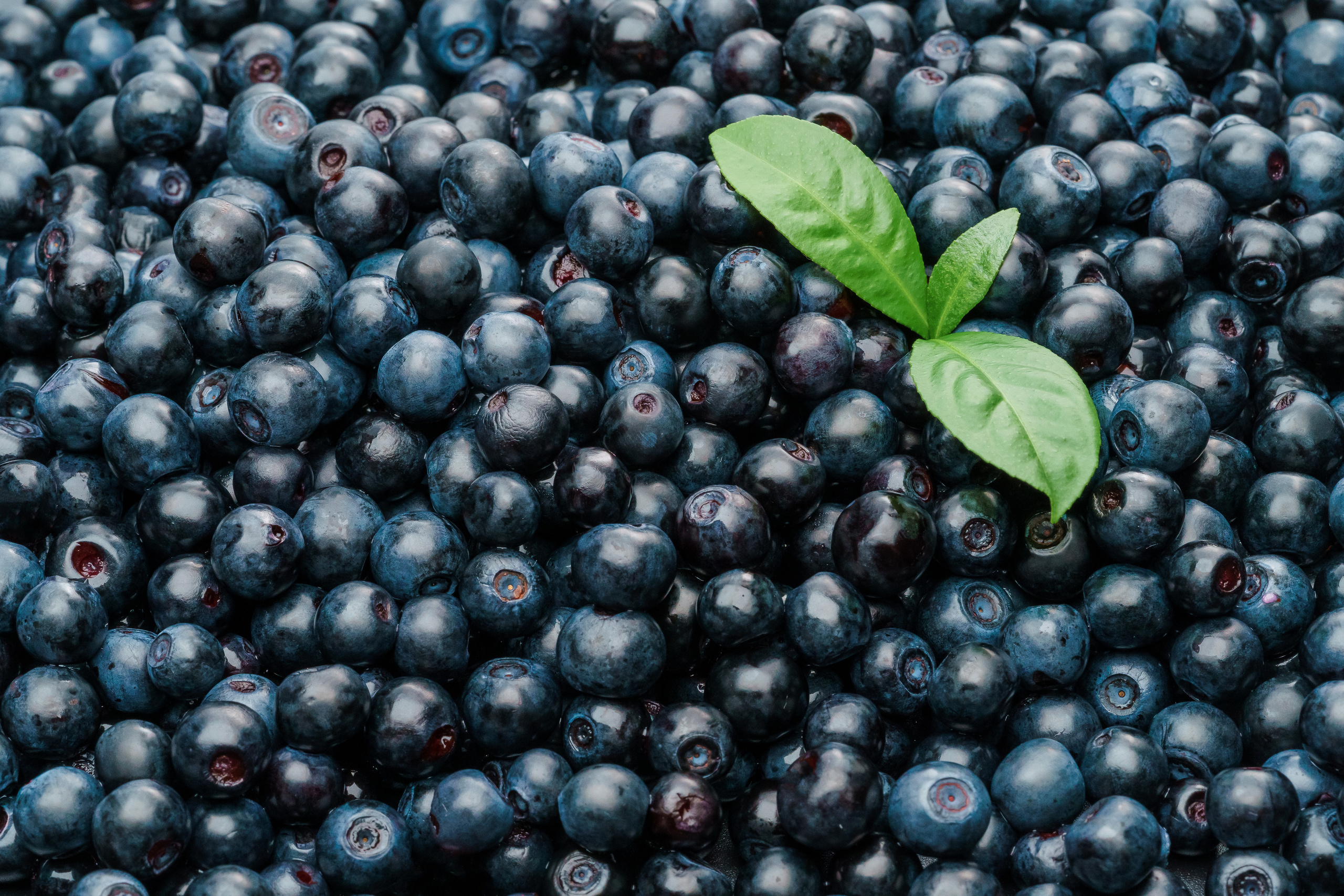 Проекты. Свадебный фотограф в Москве Вадим Вереницын