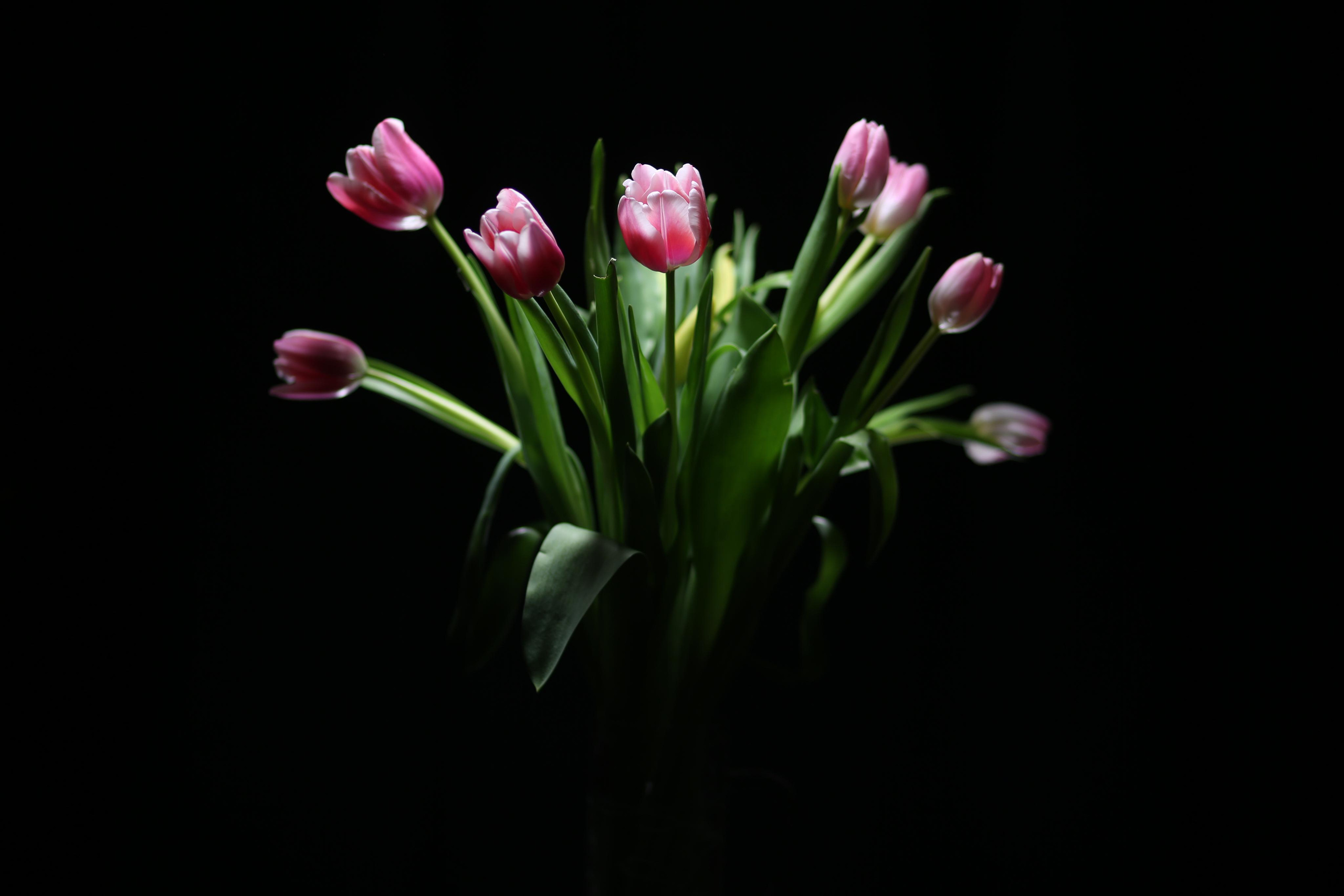 Проекты. Свадебный фотограф в Москве Вадим Вереницын