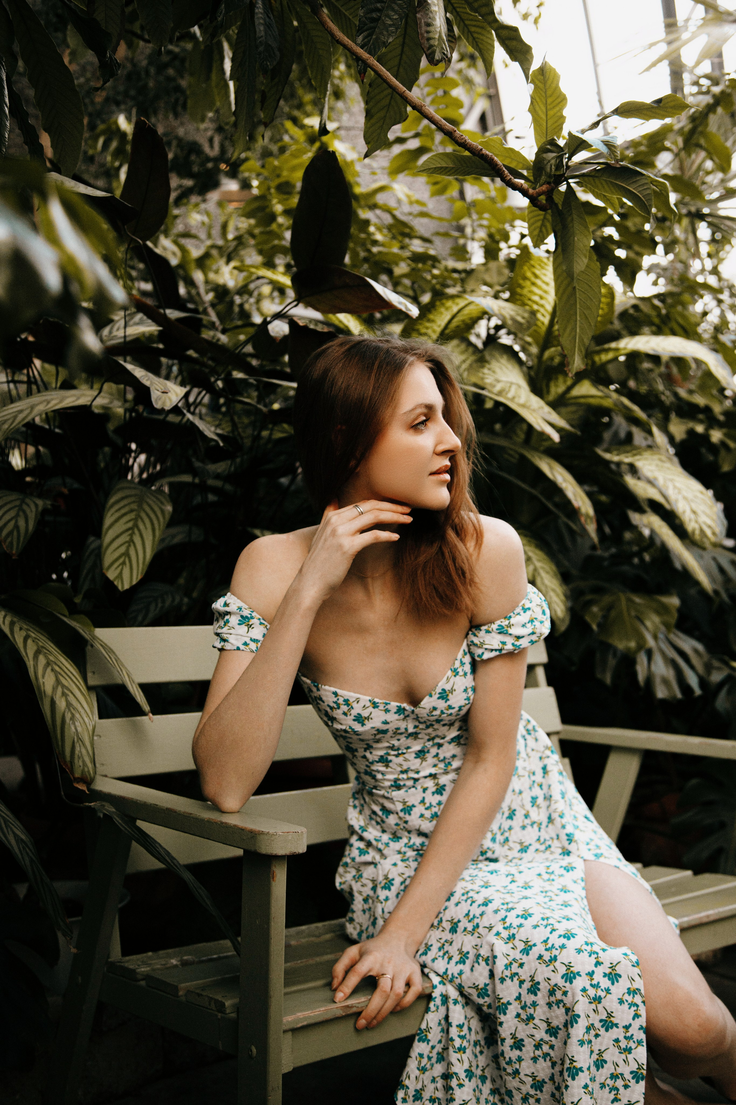 Оранжерея Таврического сада