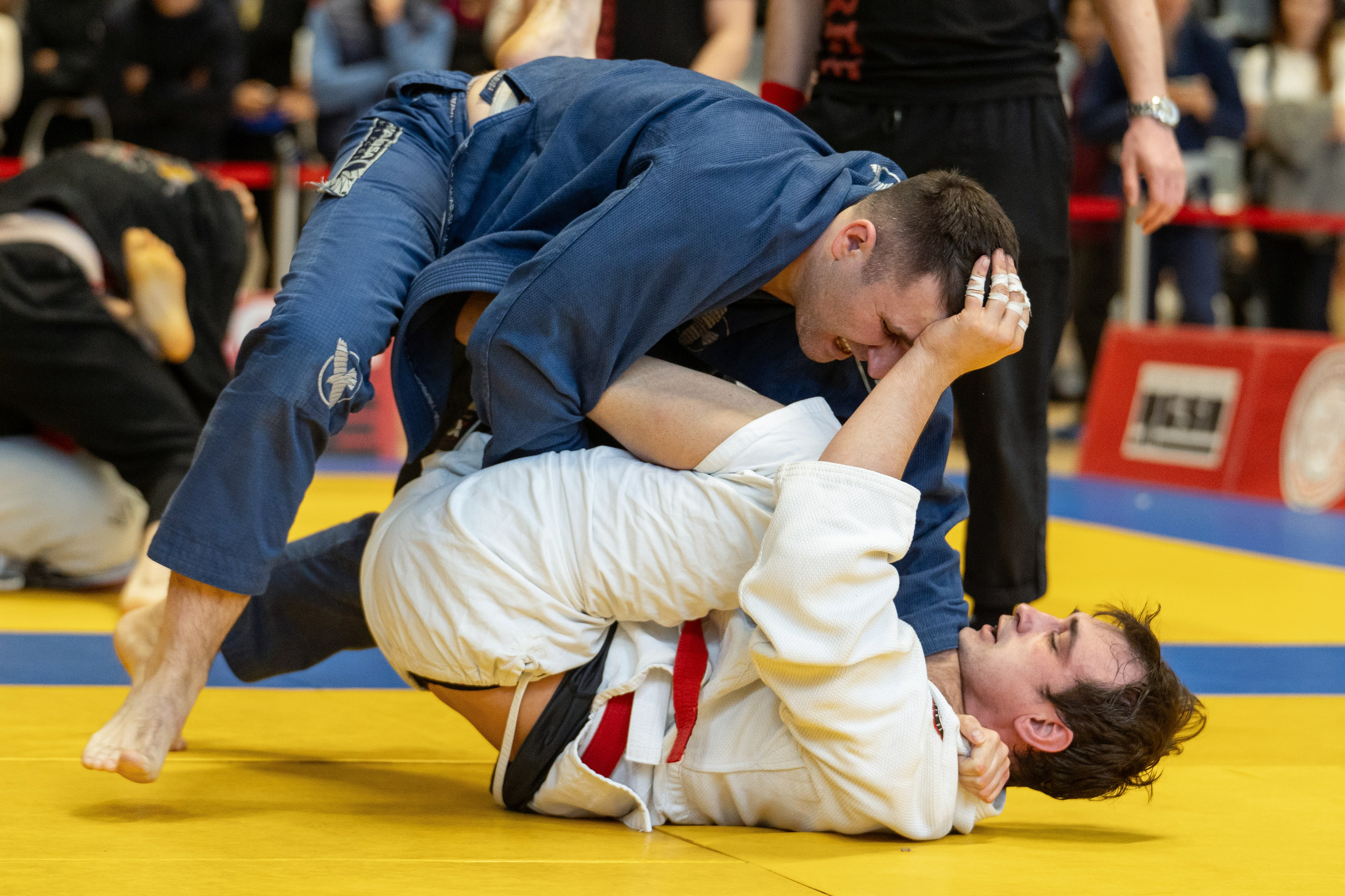 BJJ: Контакт. Фотограф Олеся Мочалова. Москва. Нижний Новгород