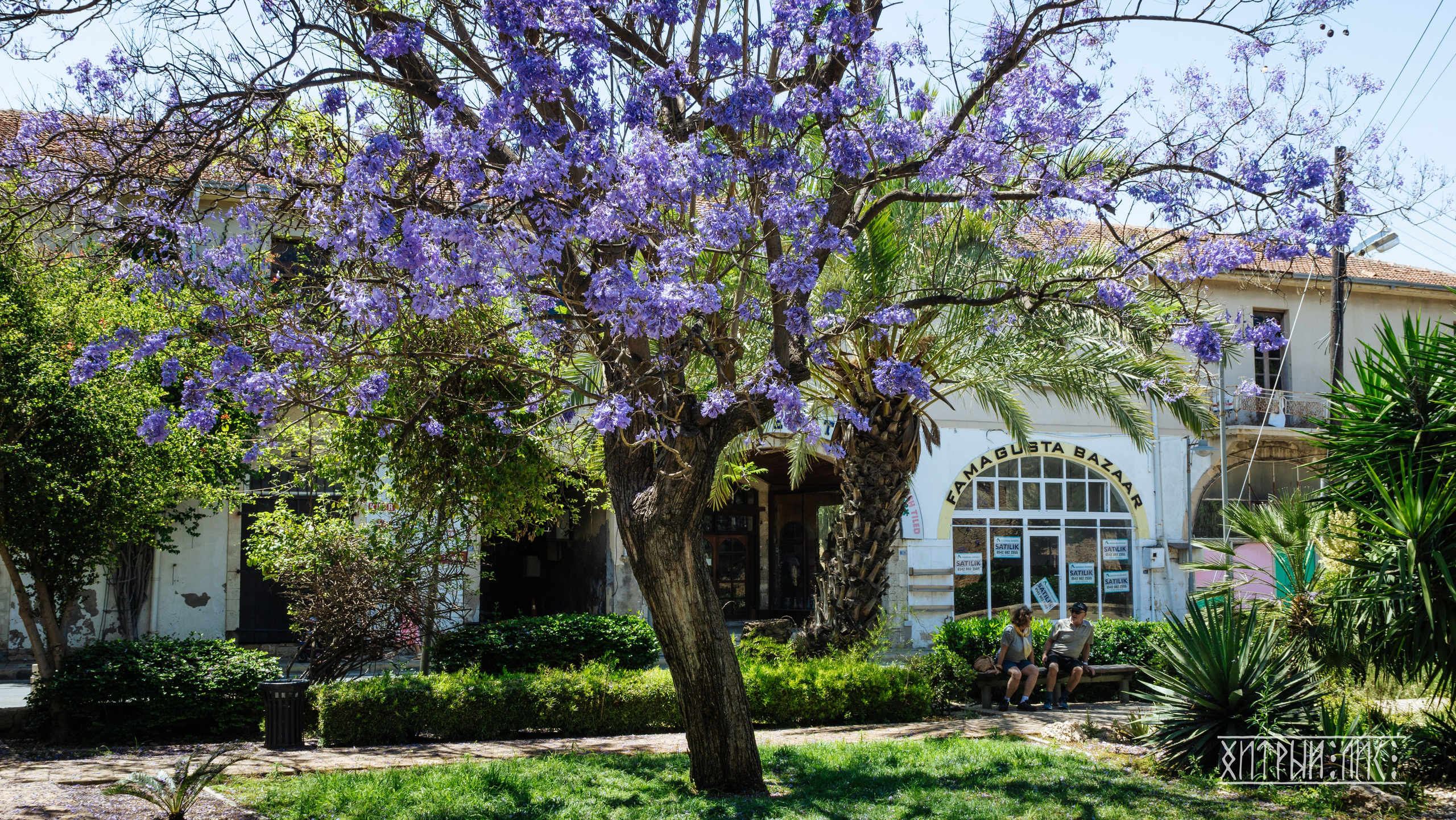 Кипр. Фотограф-путешественник Самойлов Максим «Sly Fox»