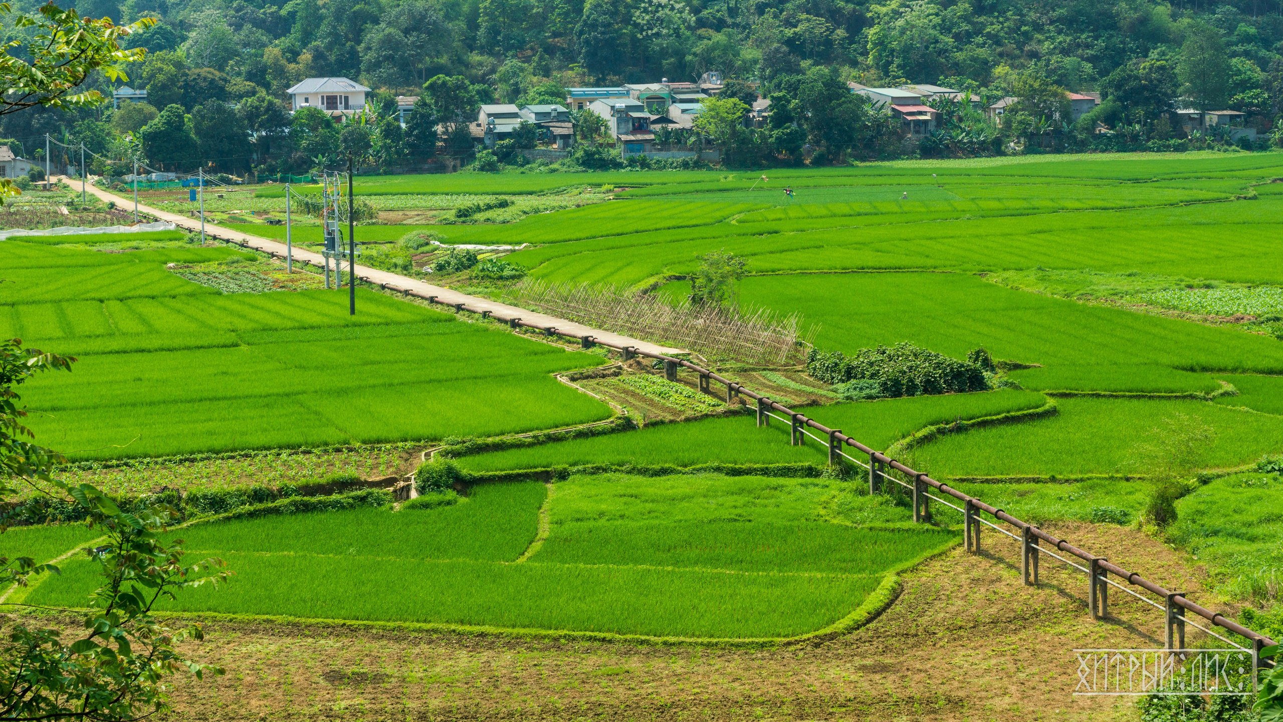 Вьетнам. Фотограф-путешественник Самойлов Максим «Sly Fox»