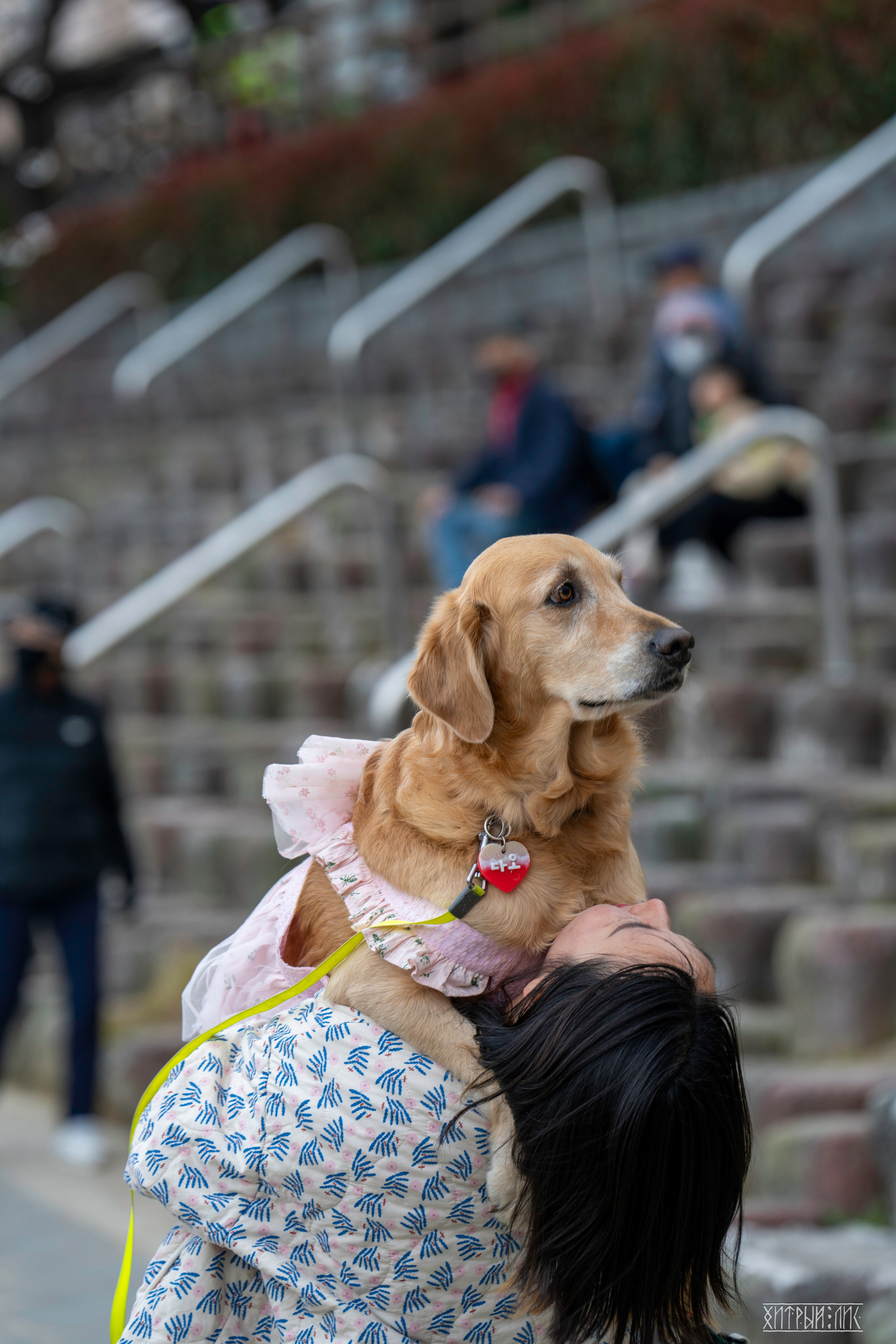 Южная Корея. Фотограф-путешественник Самойлов Максим «Sly Fox»
