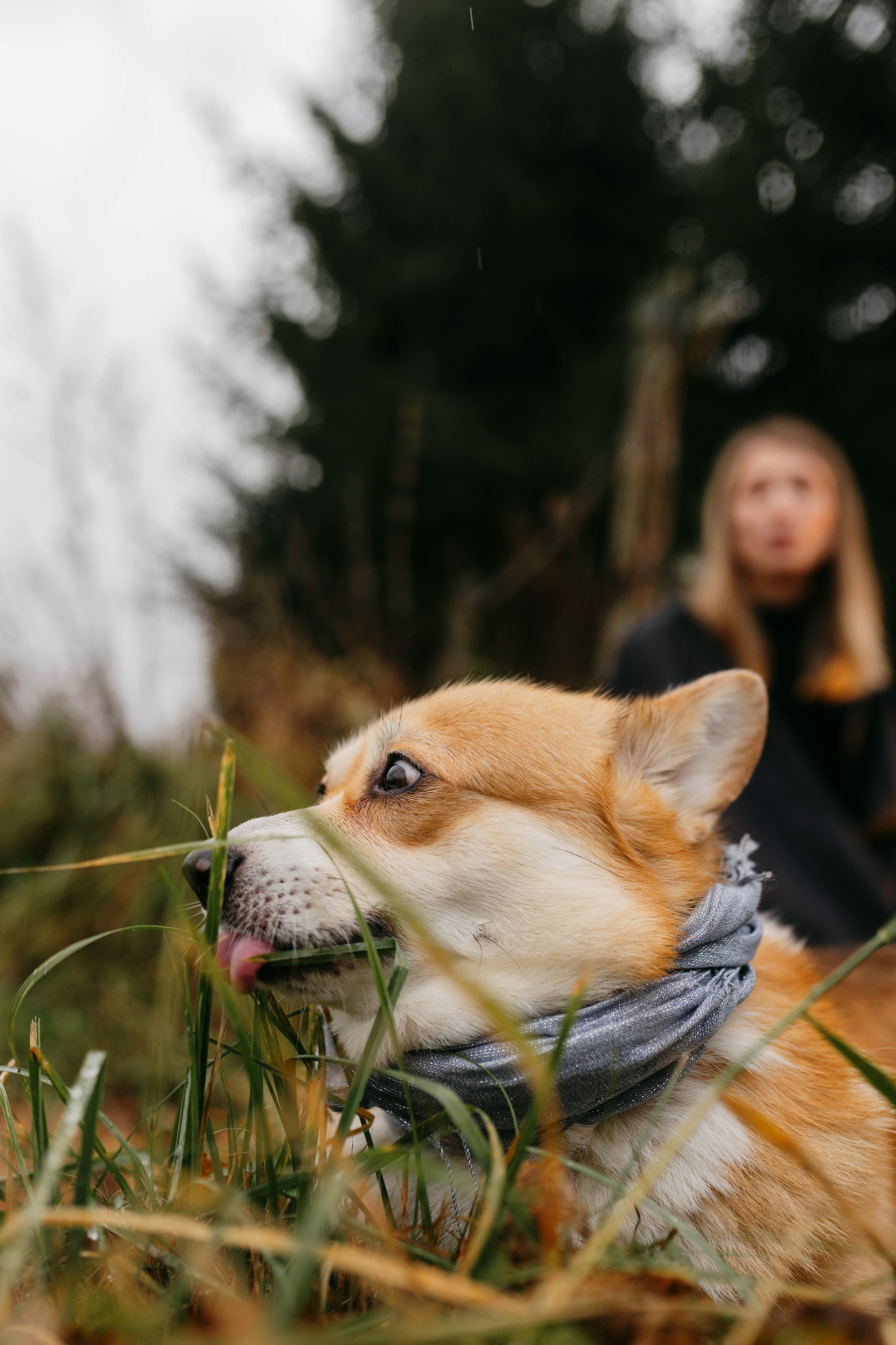 Dog camp / Аня и Бенджи. Фотограф Кузина Вера
