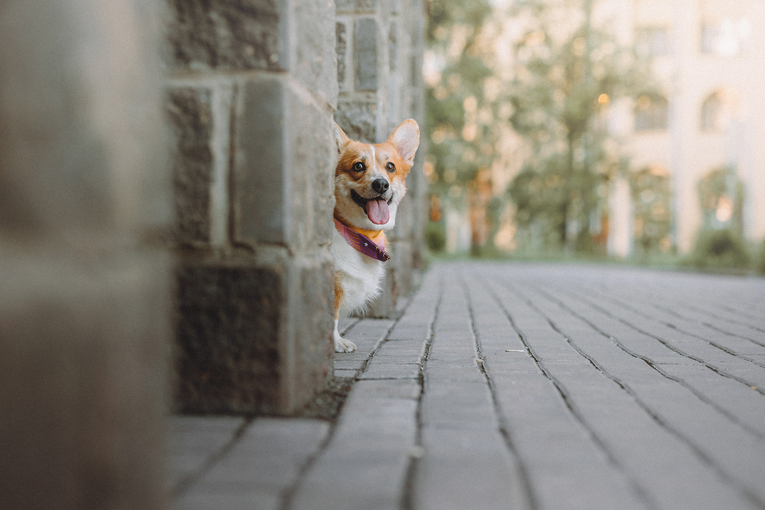 Вика и Мейзи