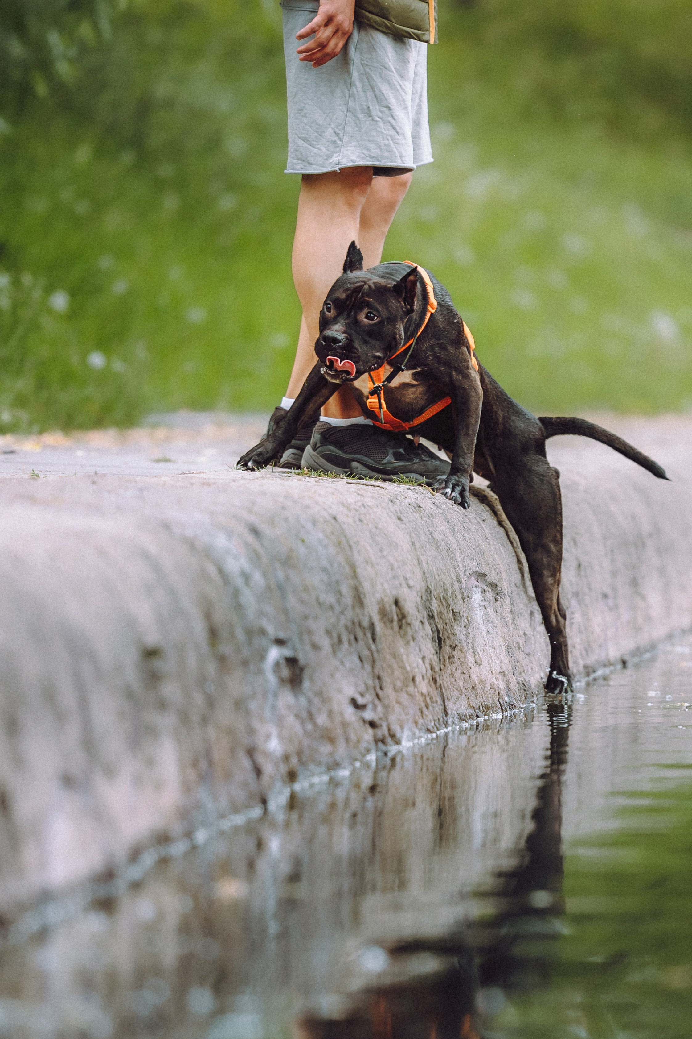 Паша, Хайди и Тея