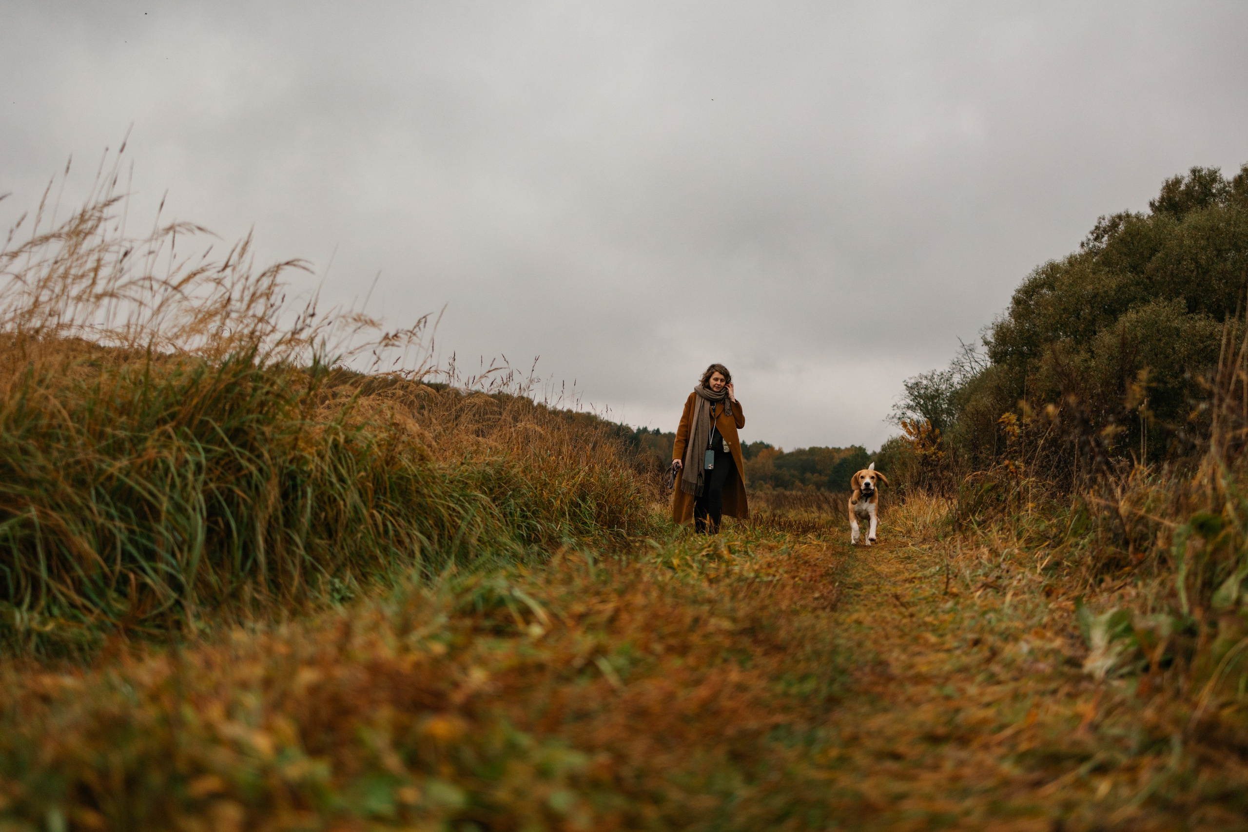 Лена и Тайгер. Фотограф — Анималист | Санкт-Петербург