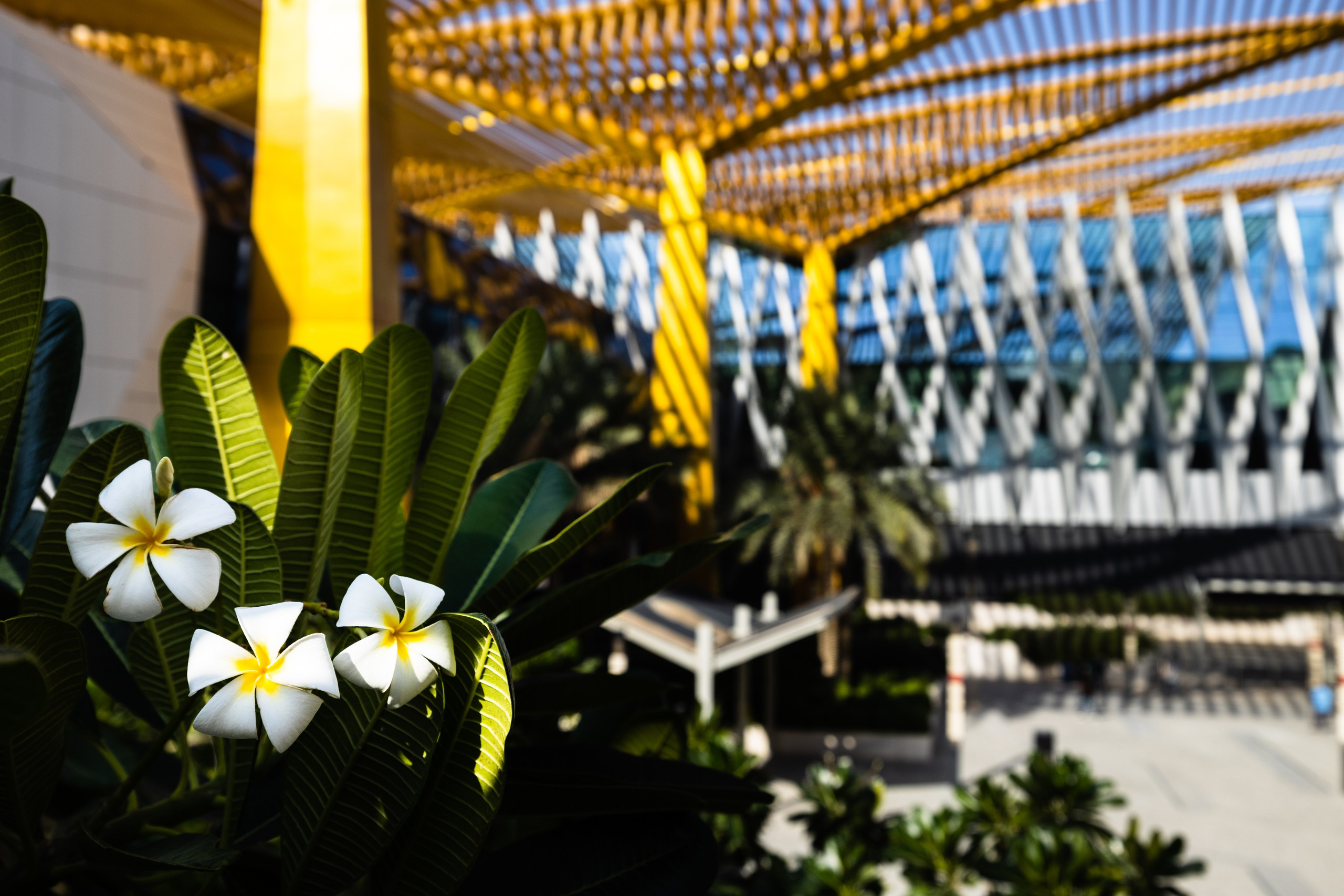 Дубай 2023. Руслан Плахтеев