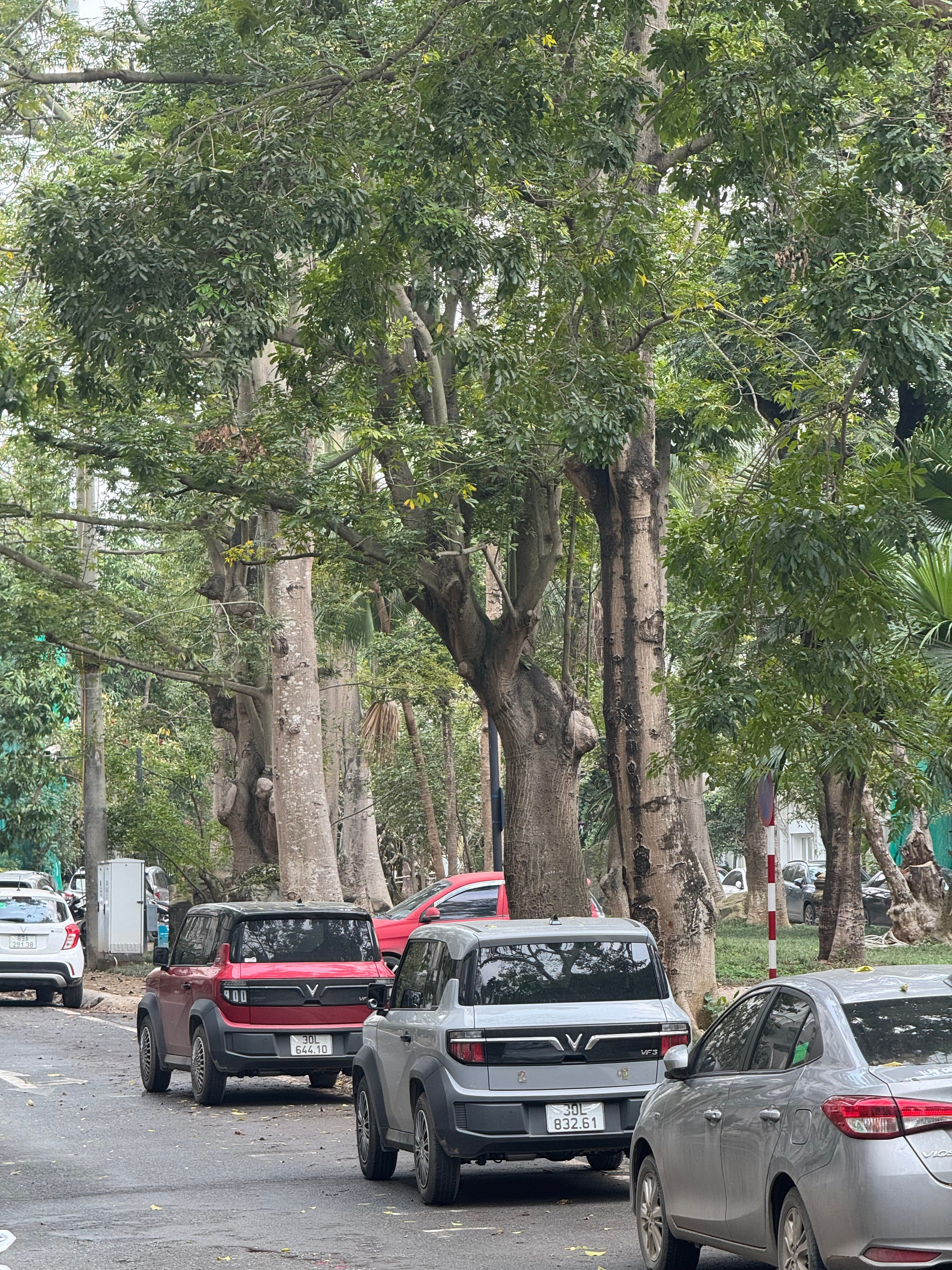 Вьетнам.Ханой 2025. А вот и да!