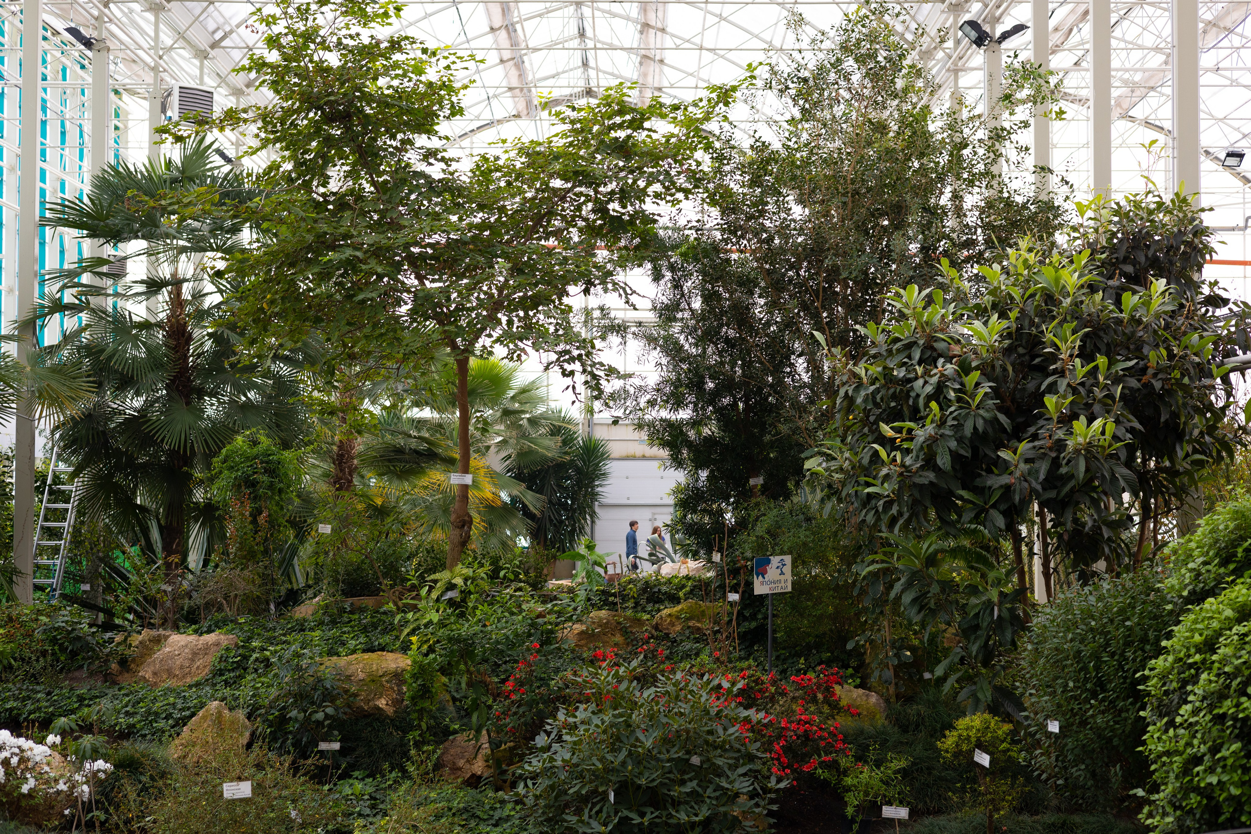 Secret Garden. ITMAG.ME | Visual Art