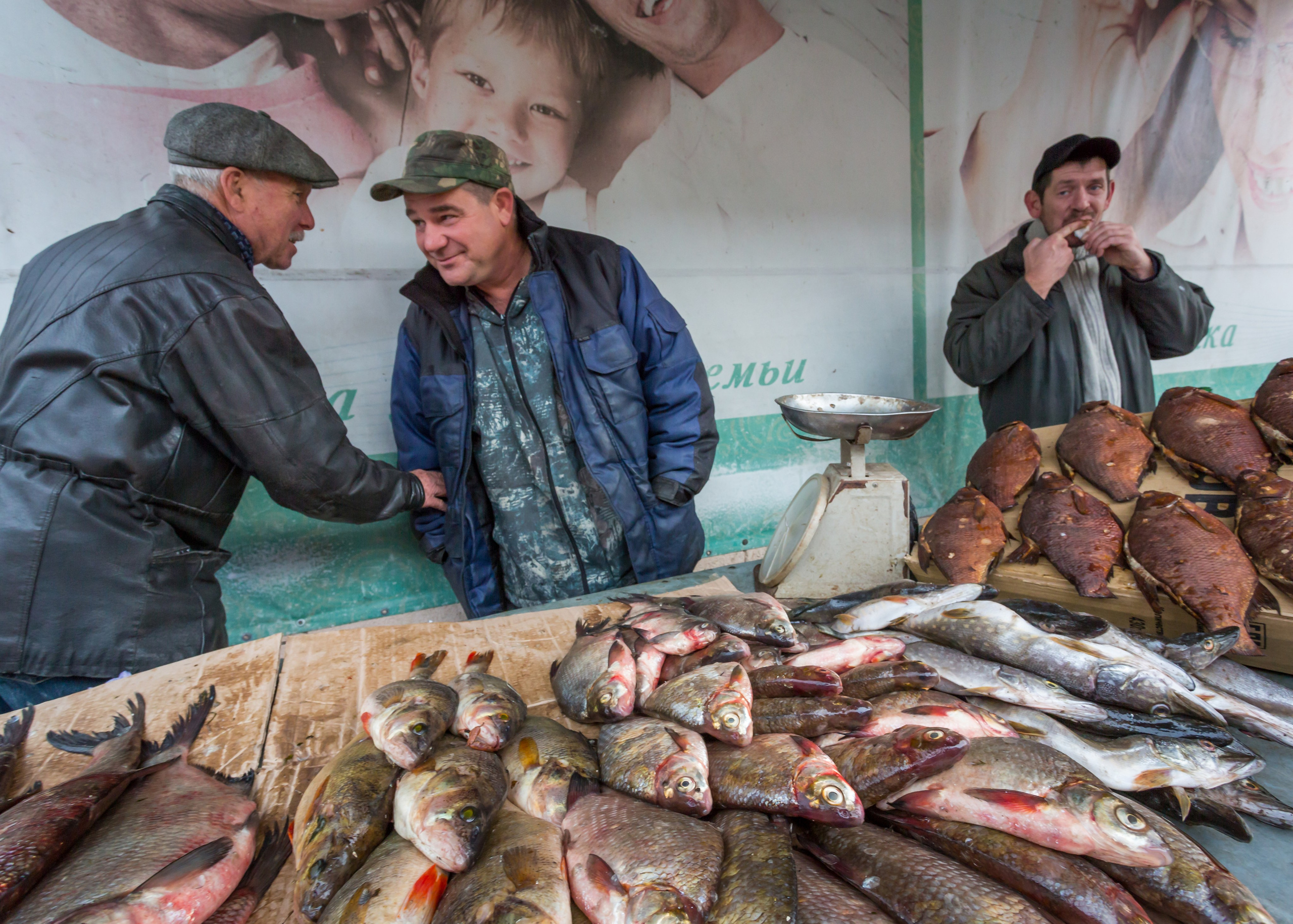 ХВАЛЫНСК: ГОРОД НА ДНЕ МОРЯ. Контакты
