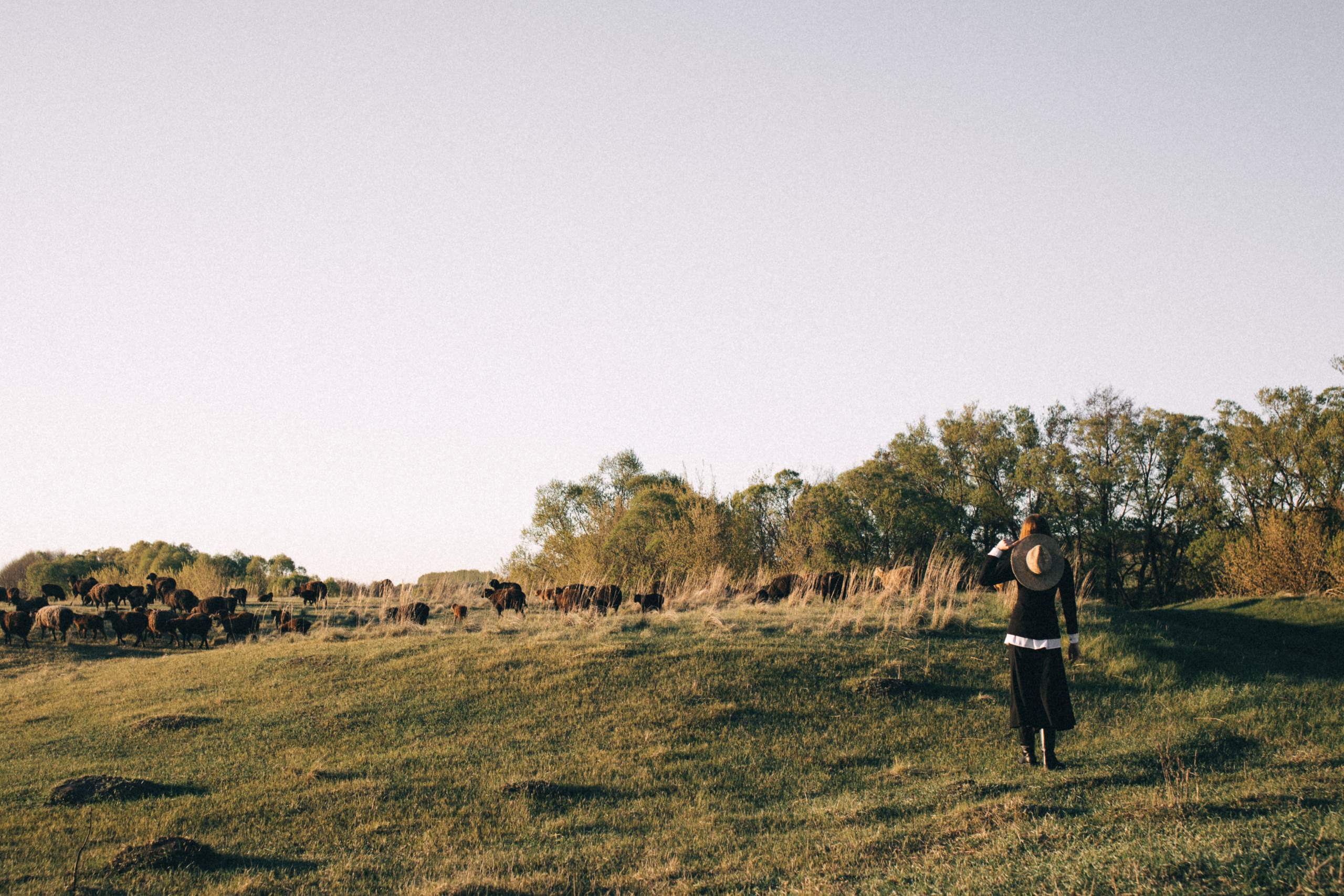 Съёмка на нашей ферме. Семейный, свадебный и портретный фотограф в Саратове Мария Засыпкина