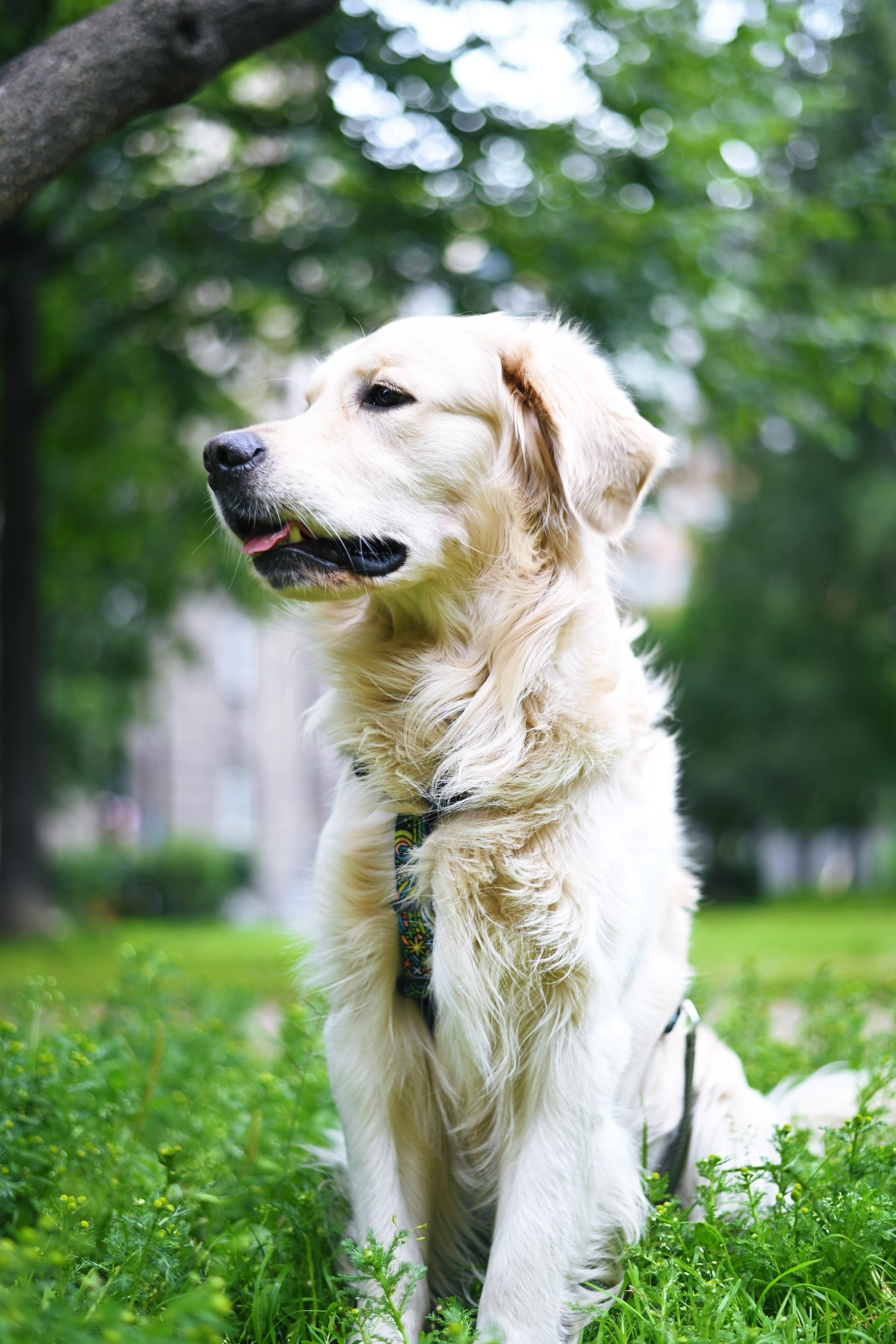 Фауна. Элька Мурзина