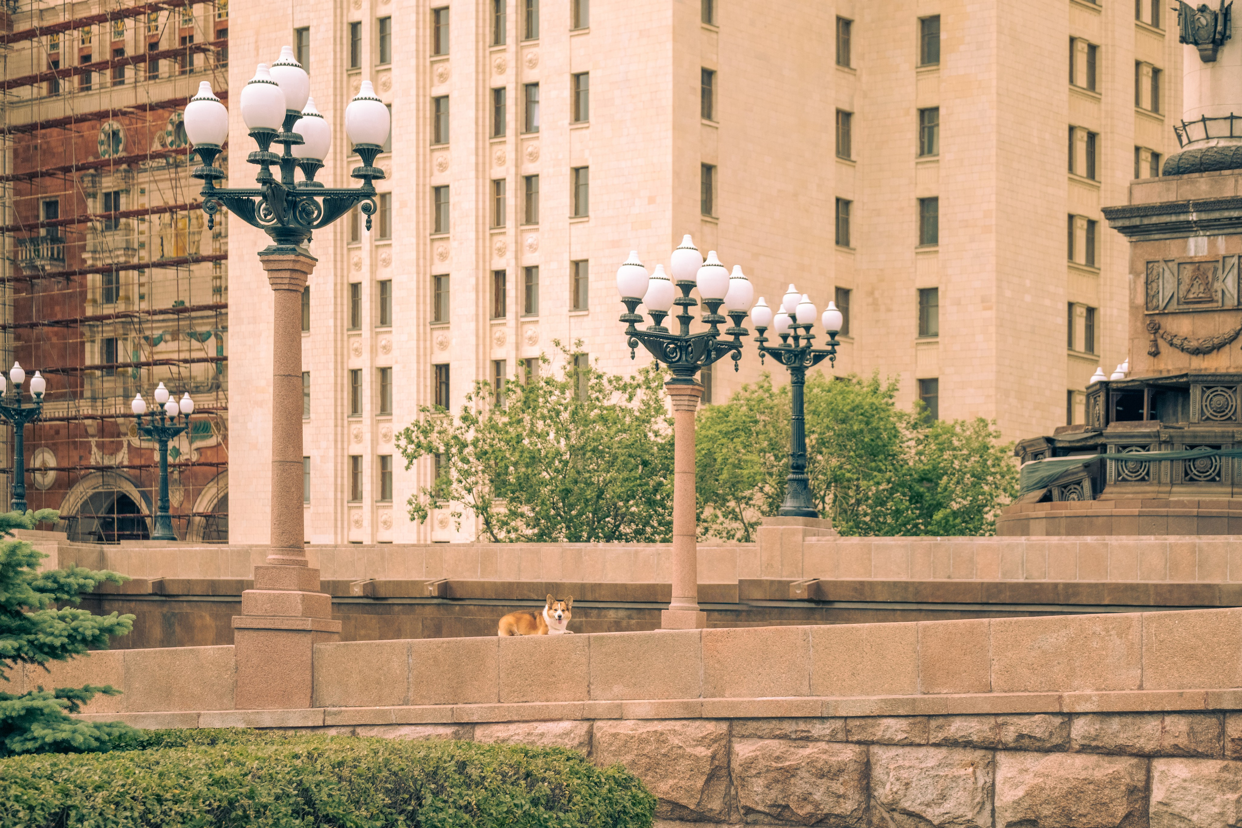 Фотопрогулка для Владислава. Зоофотограф, фотограф животных в Москве и области Дина Дамоцева