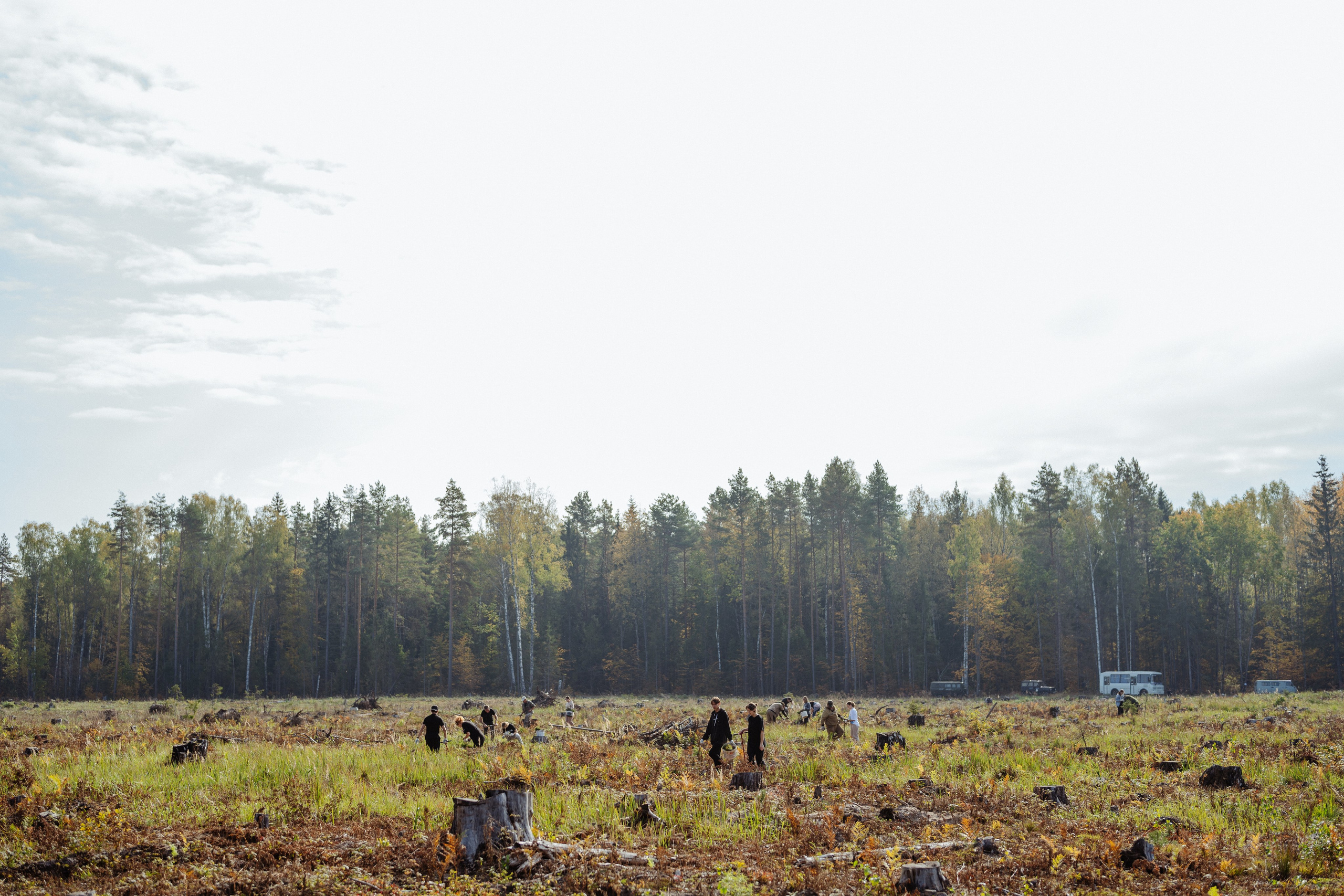 СБЕР · ЭКА · Посадка сеянцев. Владимир Вершинин, тот самый свадебный видеограф